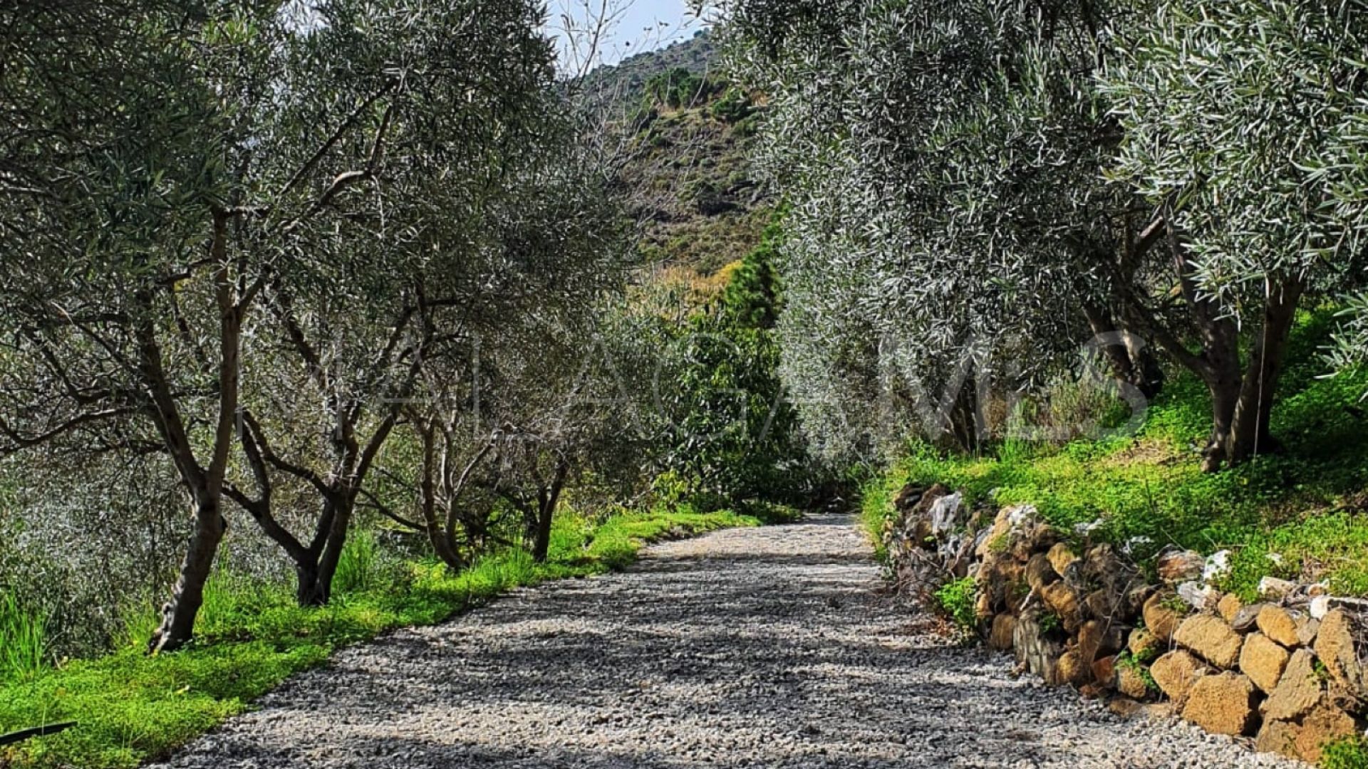 5 bedrooms finca in Altos de Estepona for sale