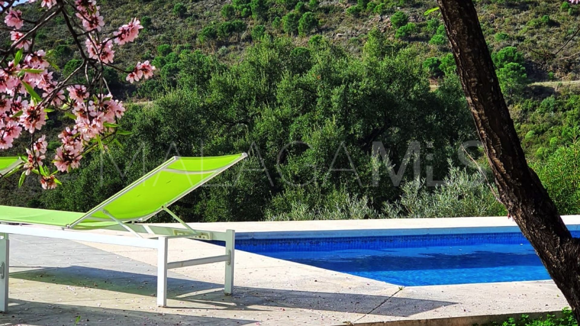 5 bedrooms finca in Altos de Estepona for sale