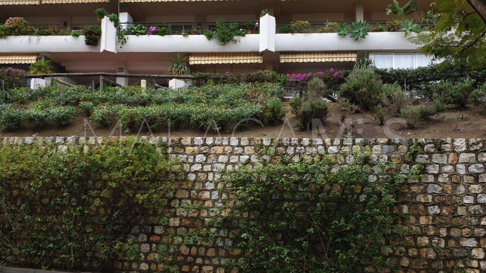 2 bedrooms penthouse in Campos de Guadalmina for sale
