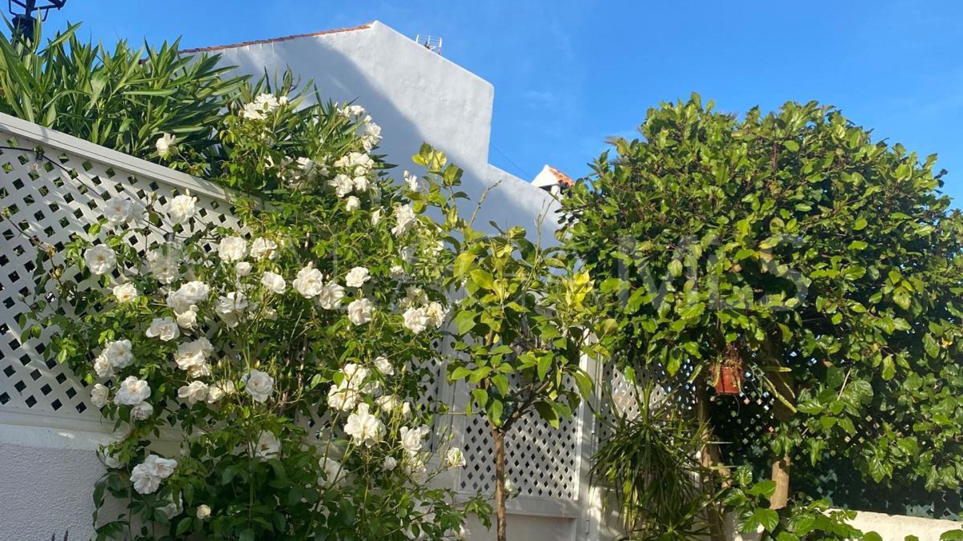 Parhus for sale in Casares Playa