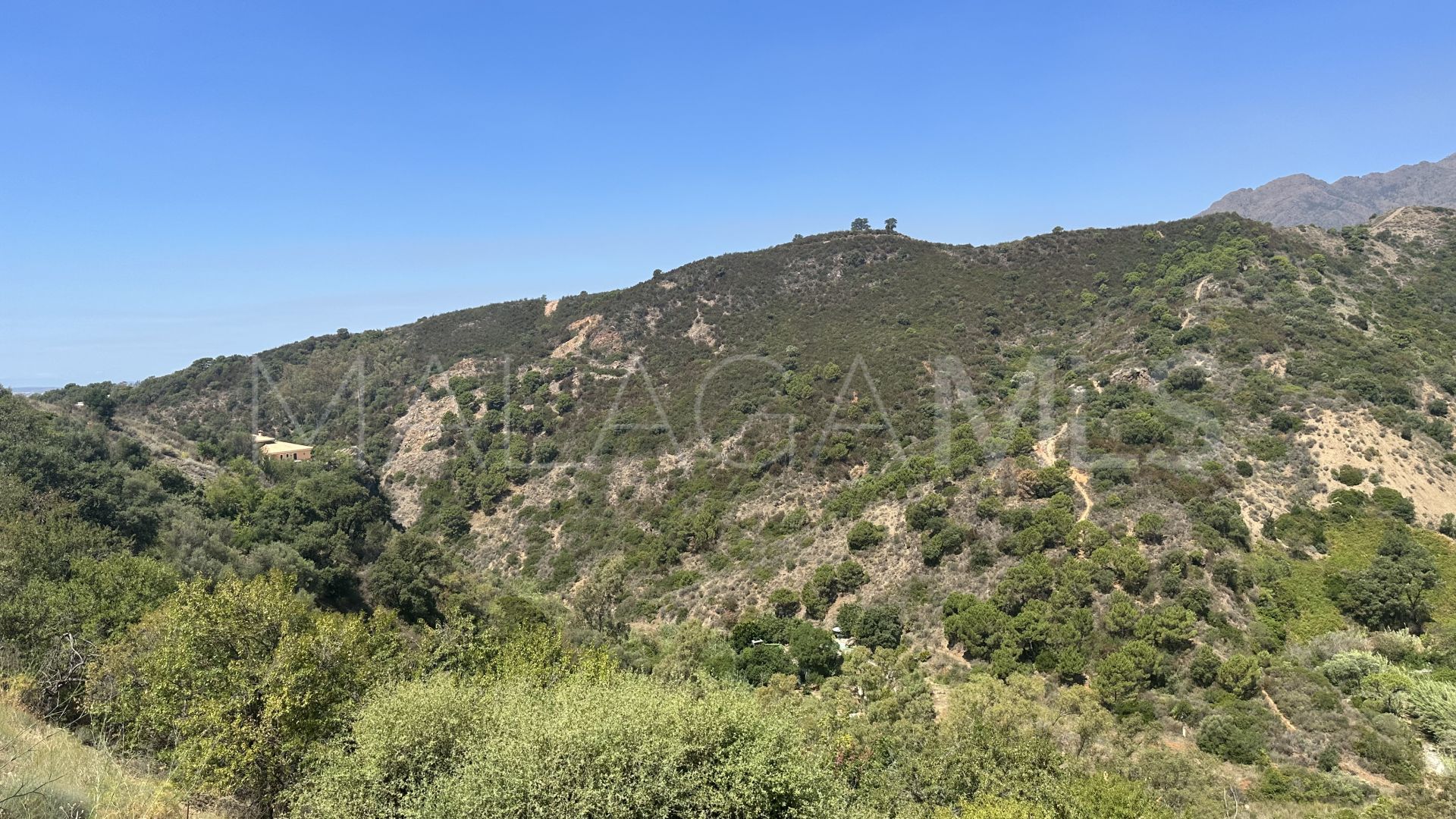 Villa with 4 bedrooms for sale in Estepona