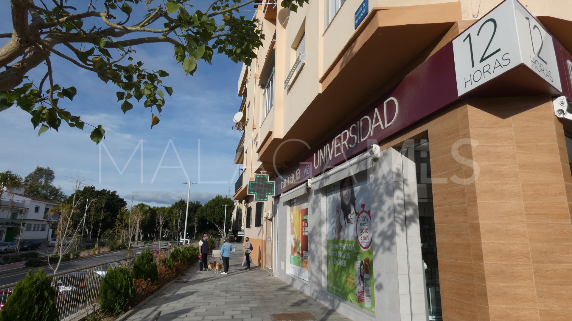 Buy Malaga - Teatinos commercial premises