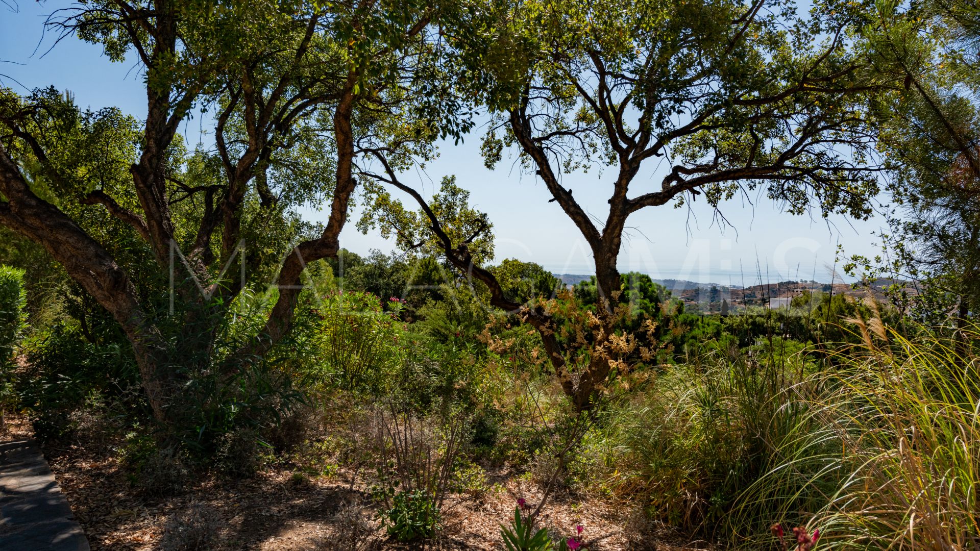 Appartement rez de chaussée for sale in La Mairena