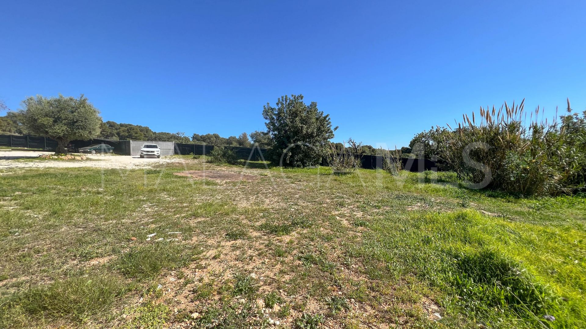 Plot for sale in Sierra Blanca