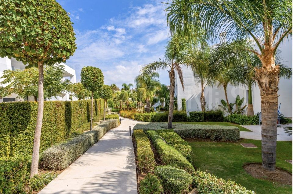 Appartement for sale in Cortijo del Golf