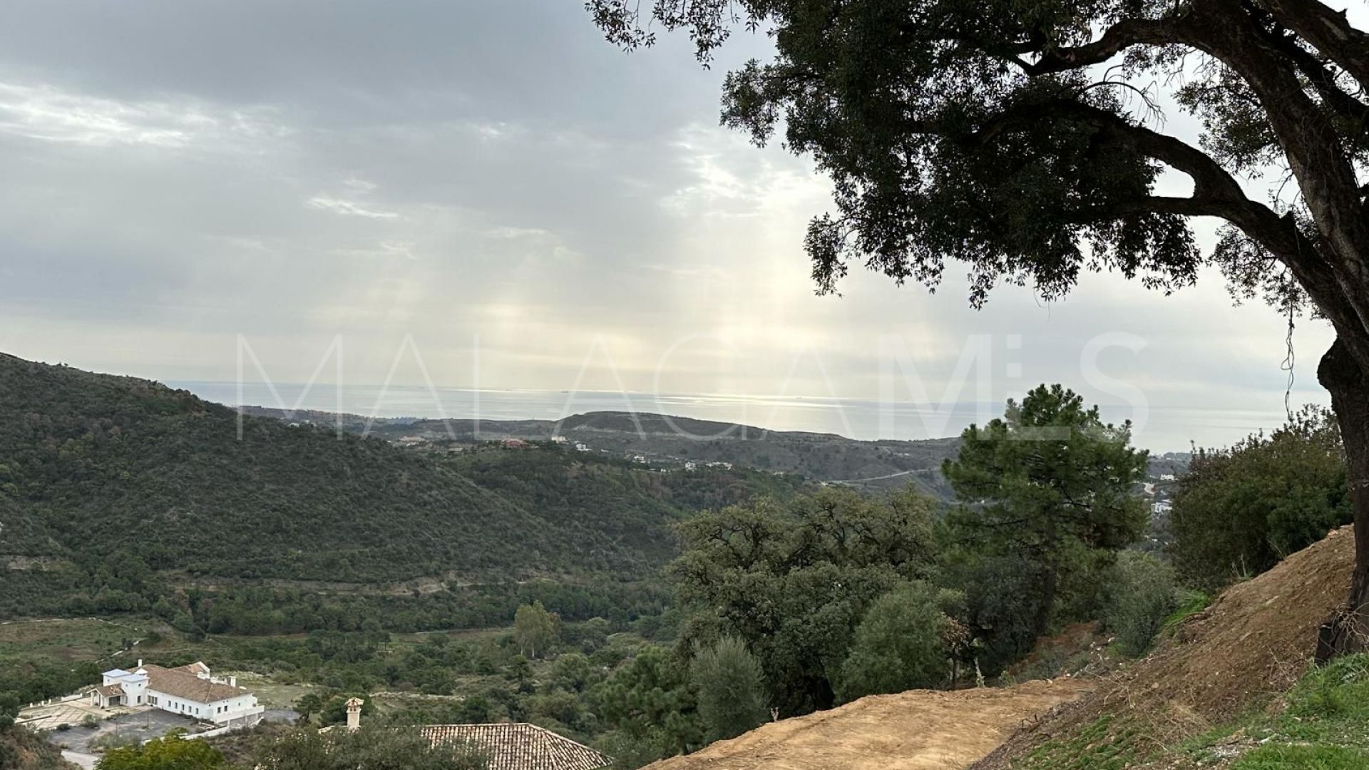 Terrain for sale in Monte Mayor