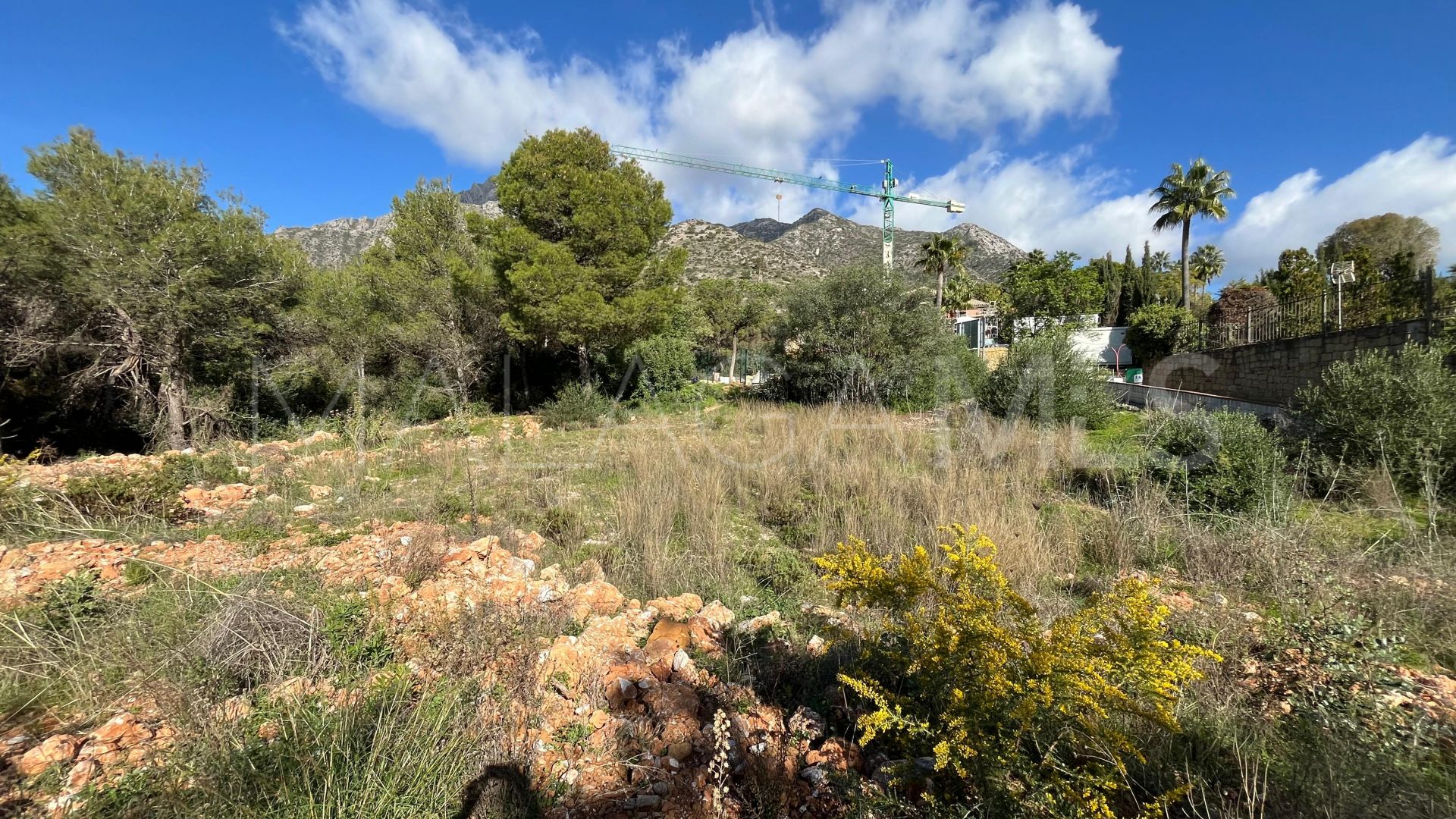 Parcela for sale in Sierra Blanca