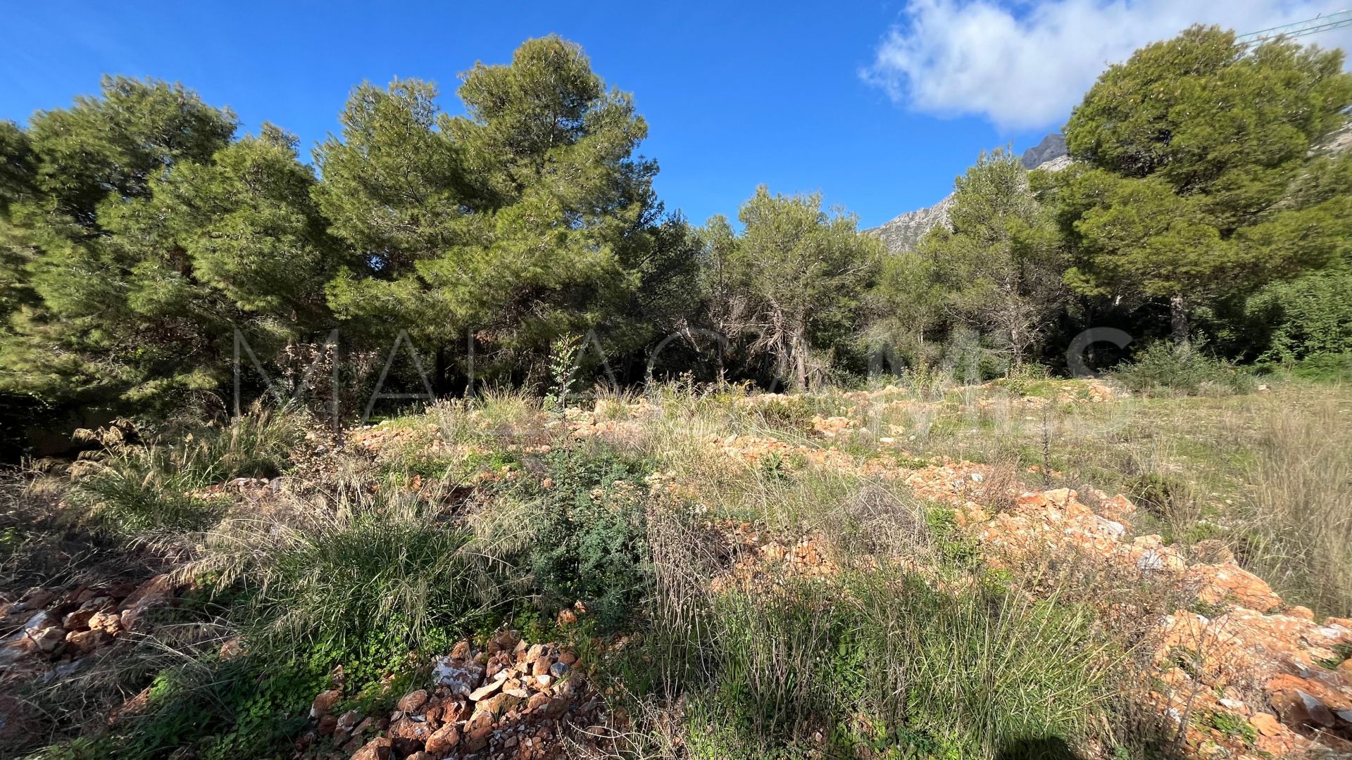 Parcela for sale in Sierra Blanca