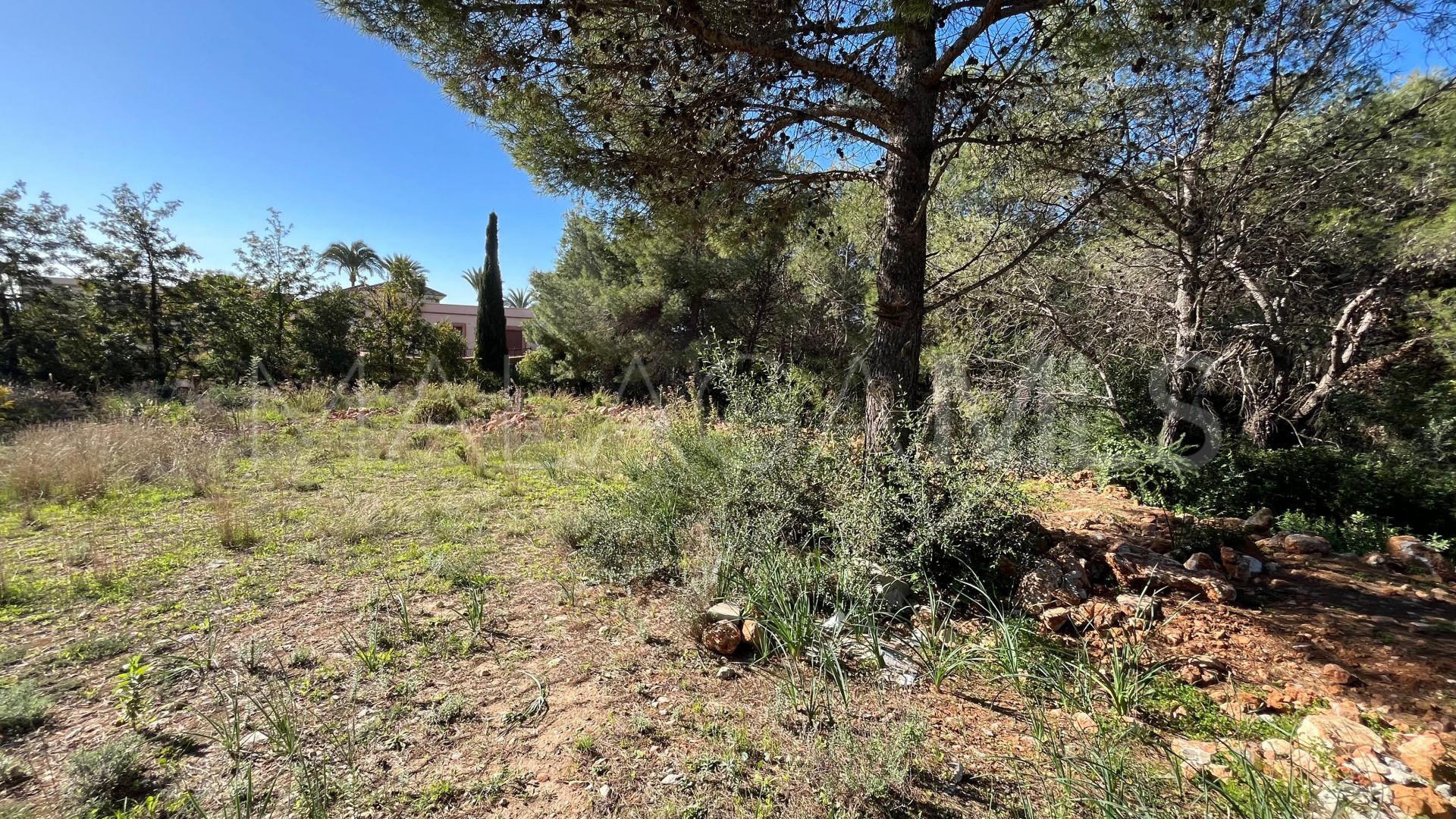 Parcela for sale in Sierra Blanca