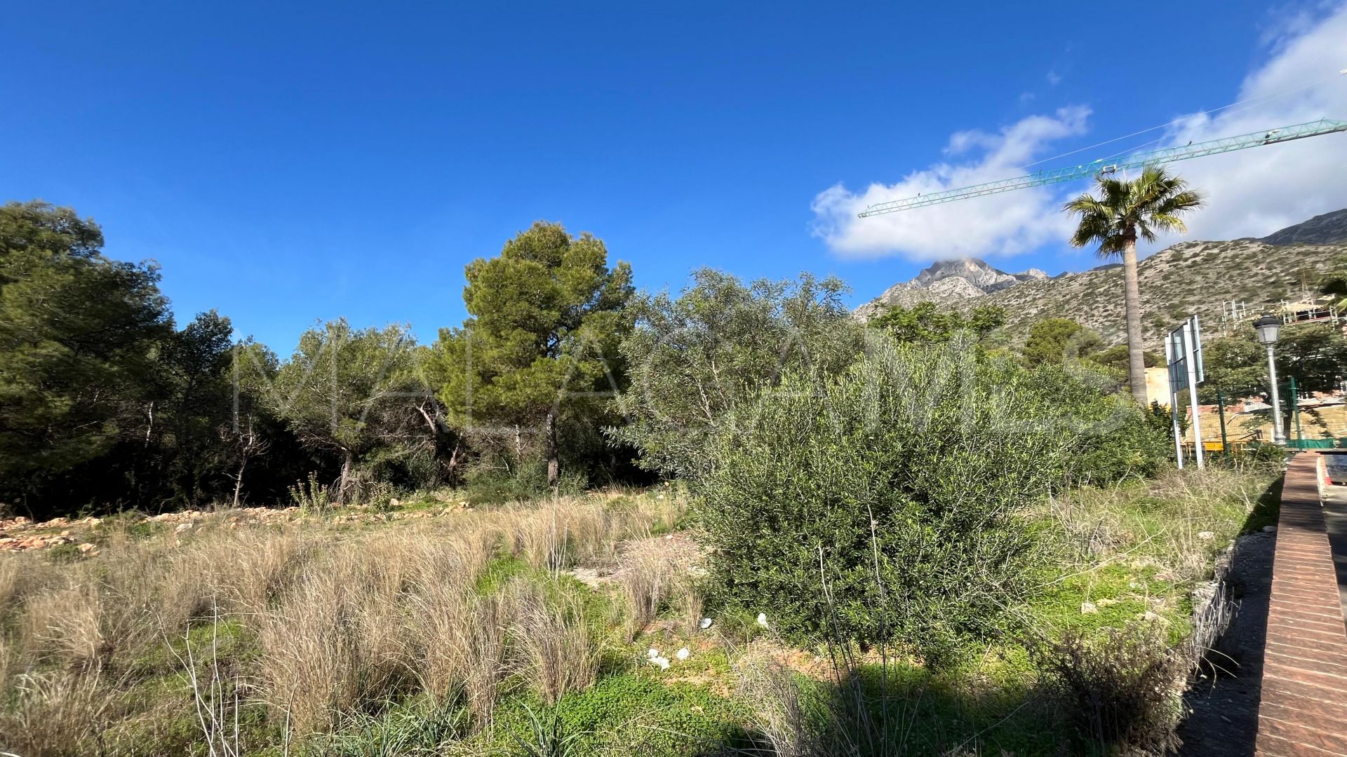 Parcela for sale in Sierra Blanca