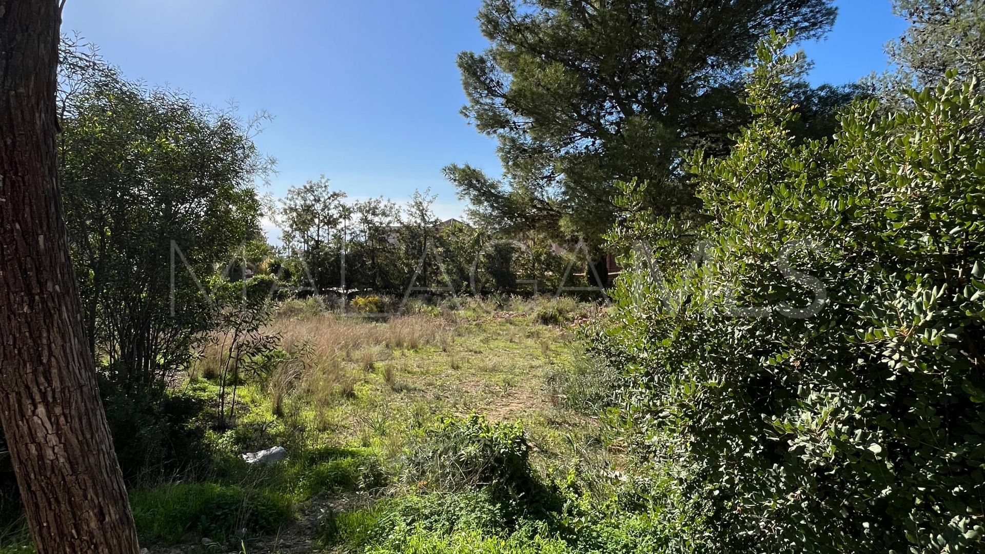 Parcela for sale in Sierra Blanca