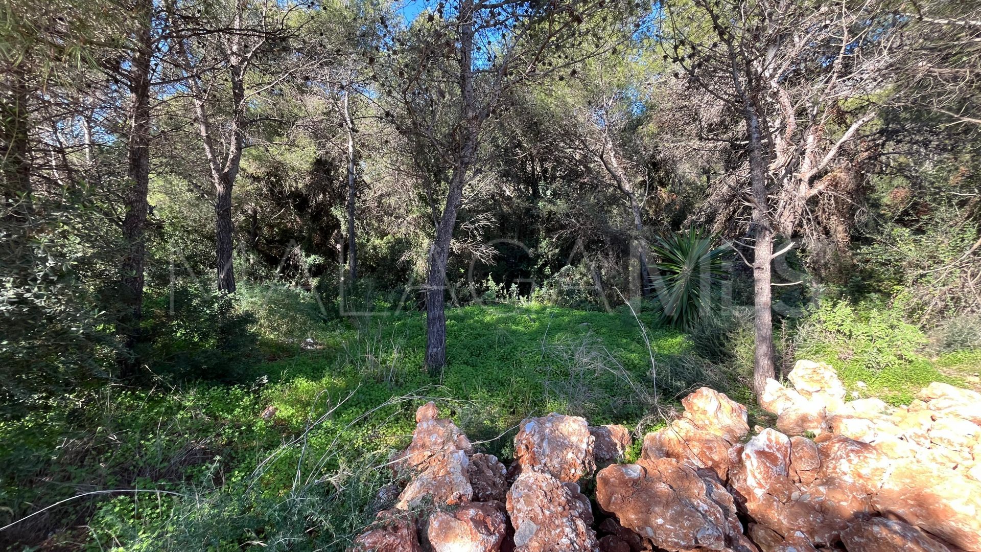 Parcela for sale in Sierra Blanca