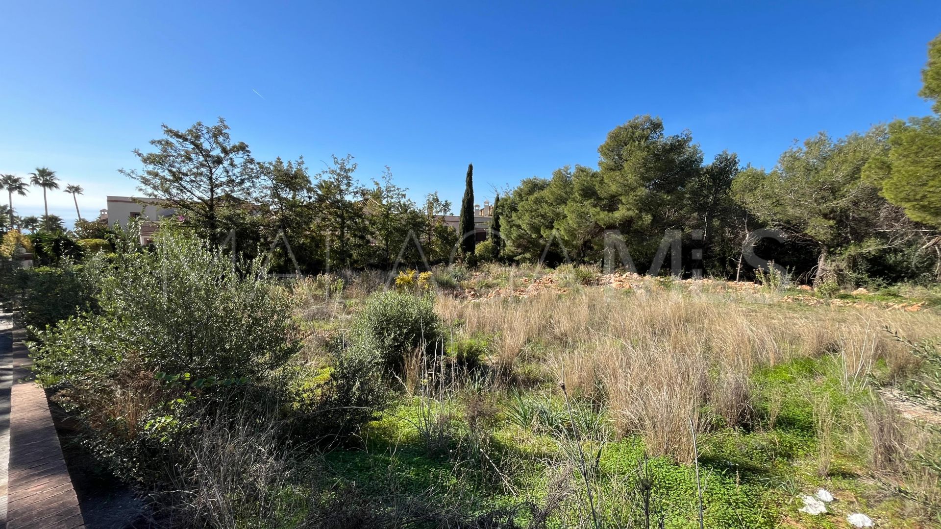 Parcela for sale in Sierra Blanca