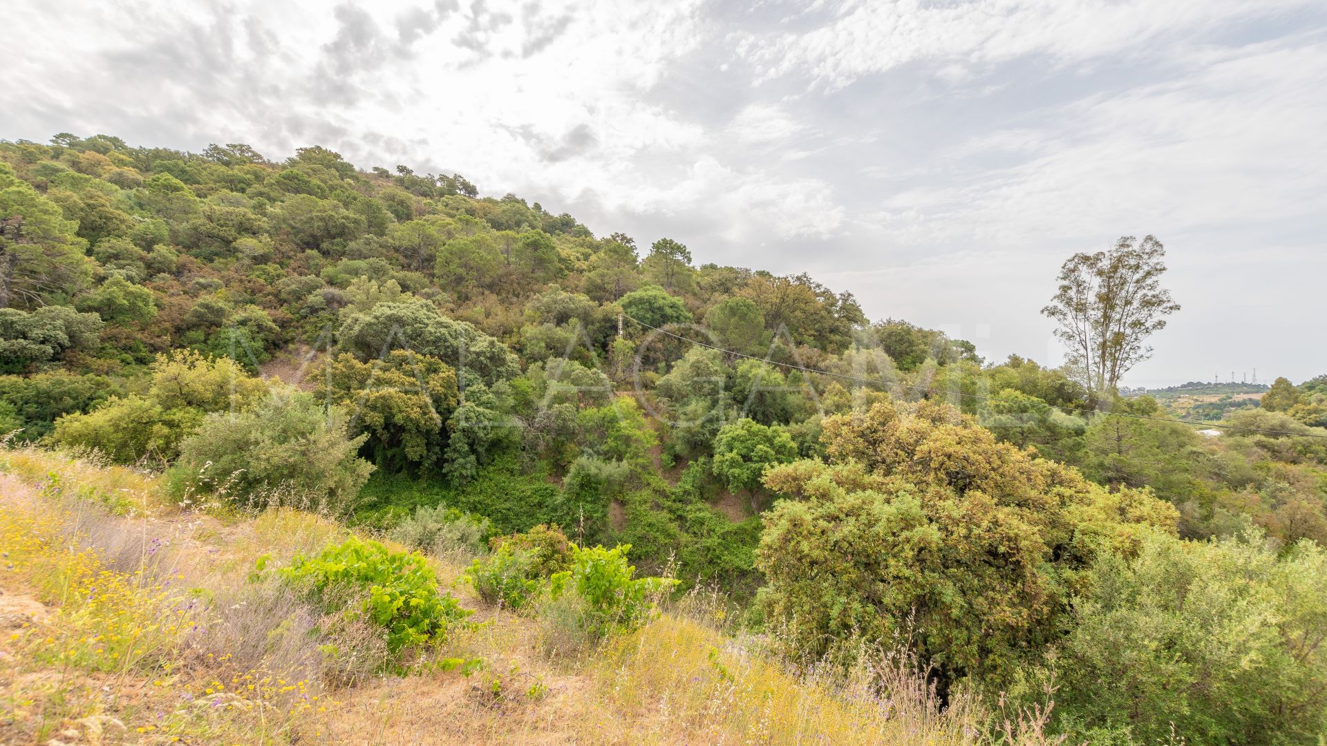 Tomt for sale in El Velerin