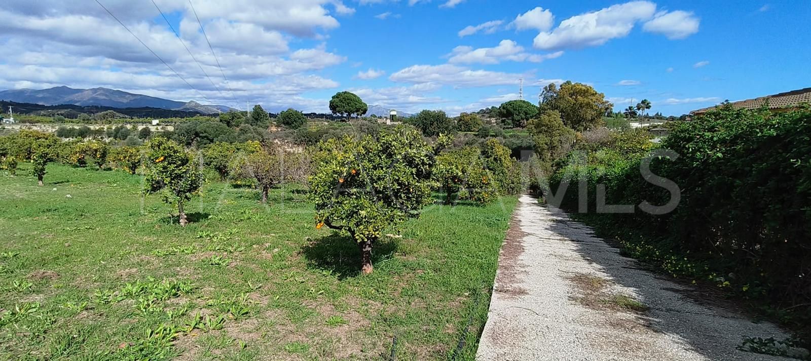 Estepona, villa de 4 bedrooms for sale