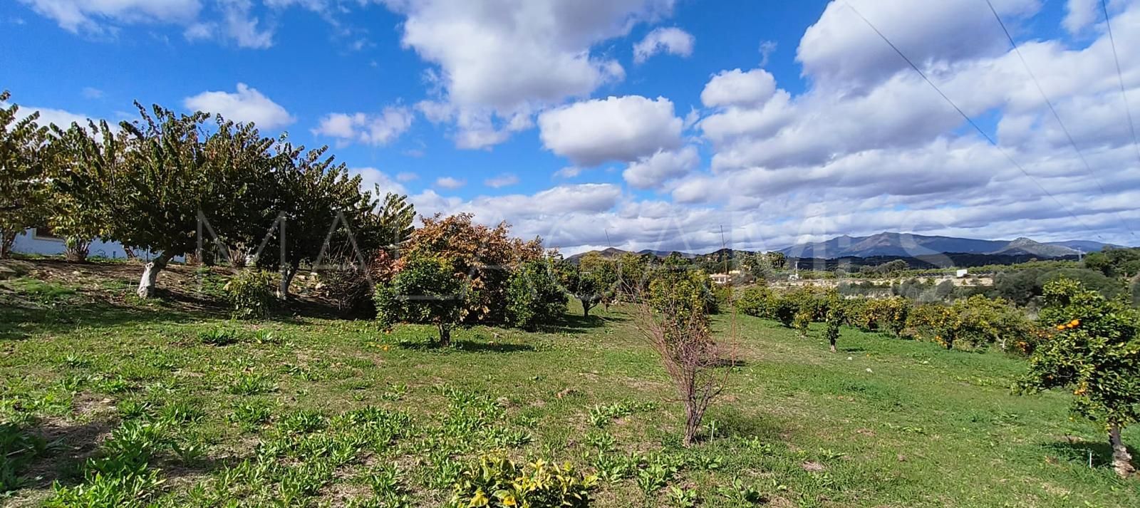 Estepona, villa de 4 bedrooms for sale