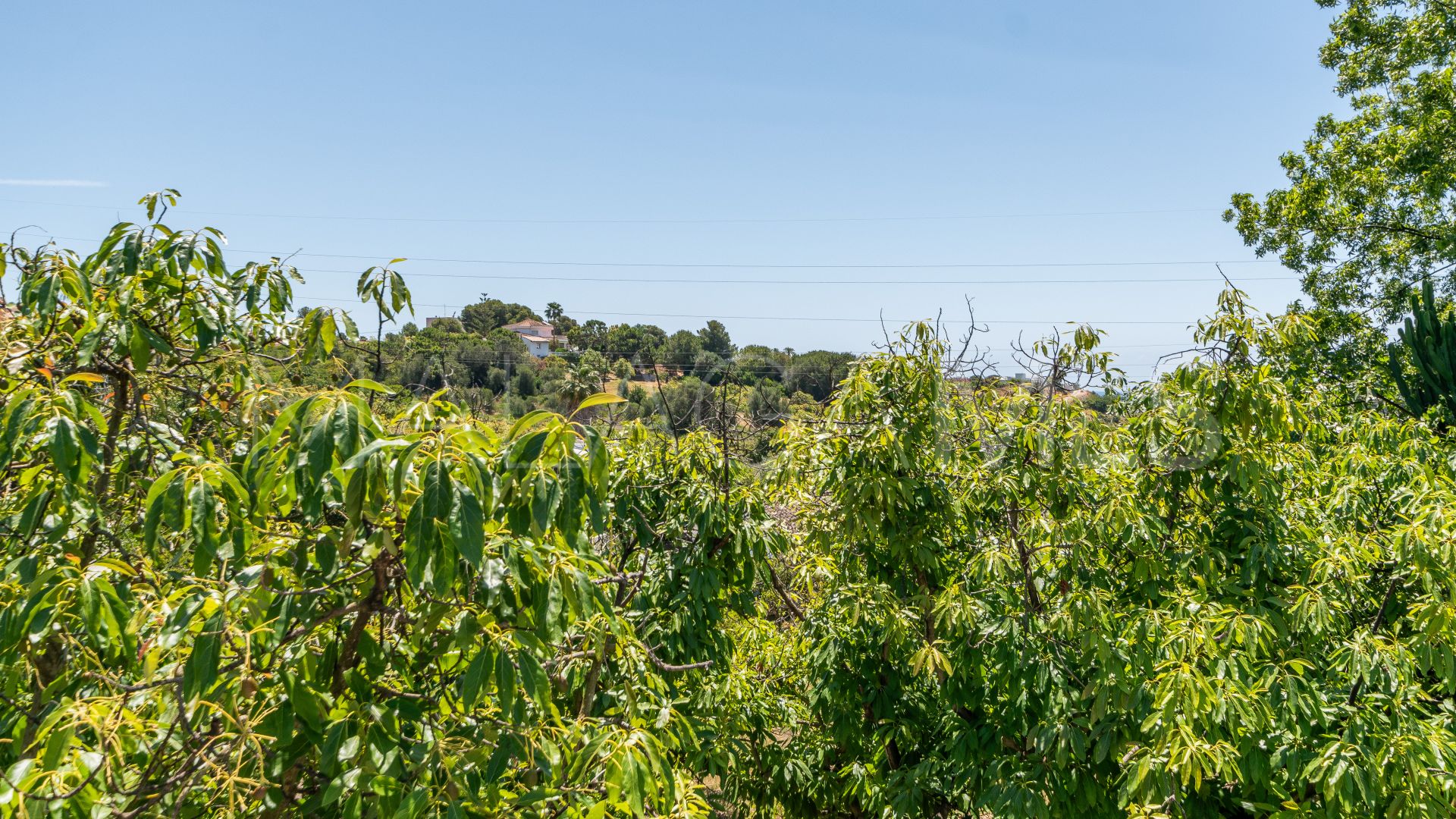 Finca for sale in Estepona