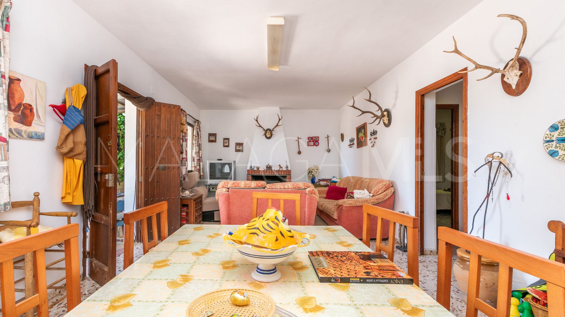 Finca for sale in Estepona