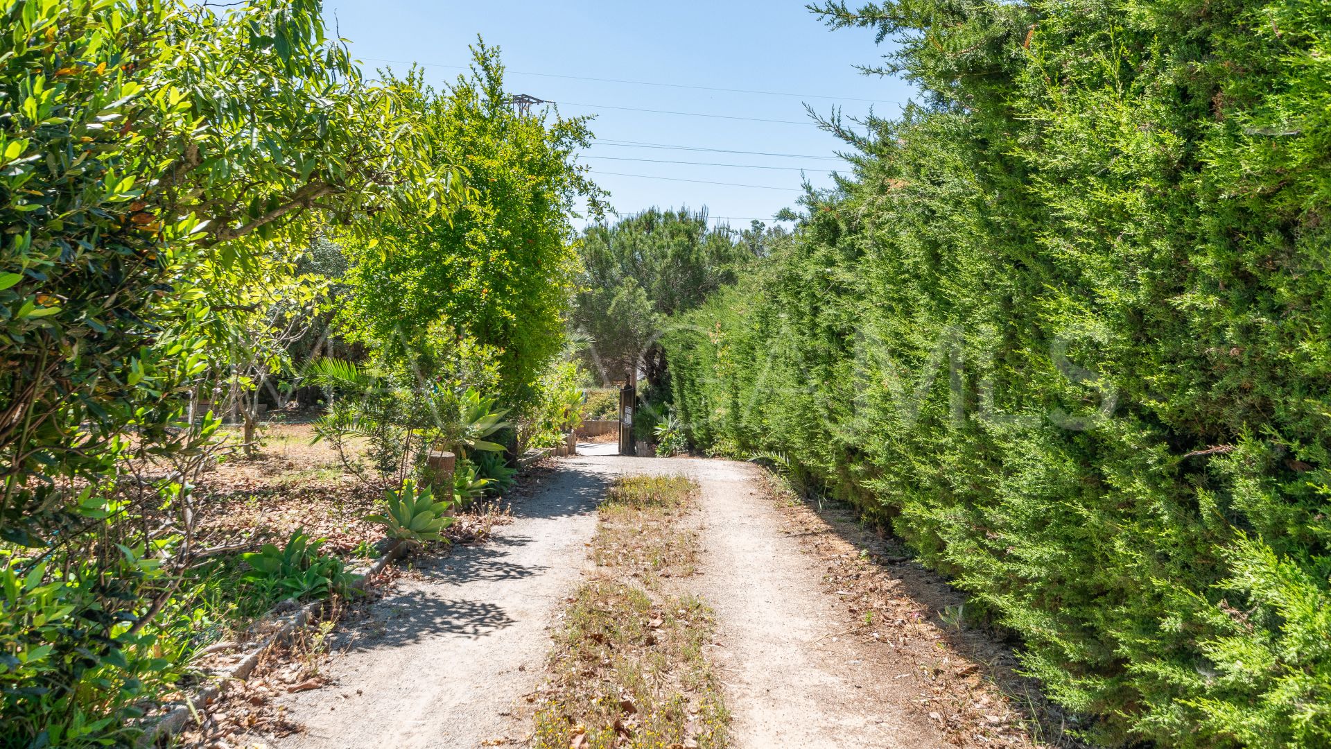 Finca for sale in Estepona