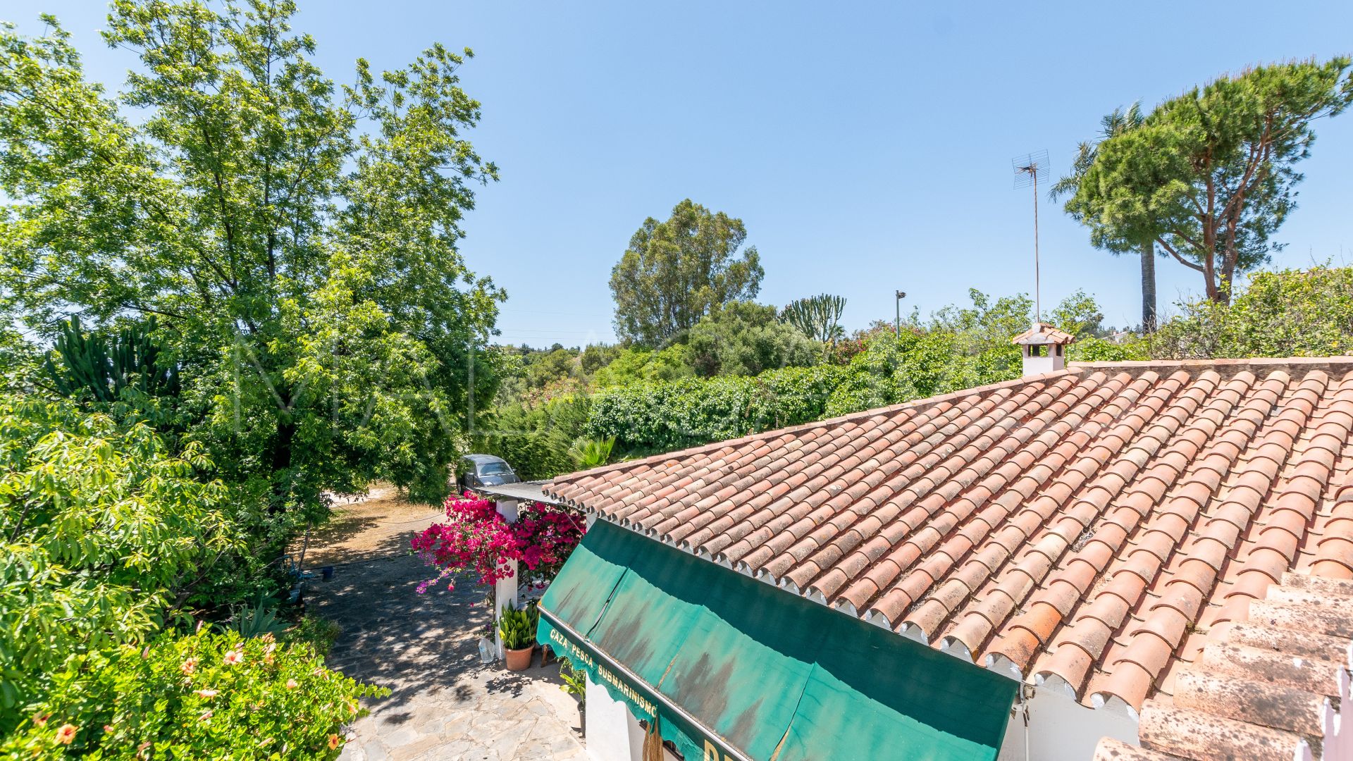 Finca for sale in Estepona