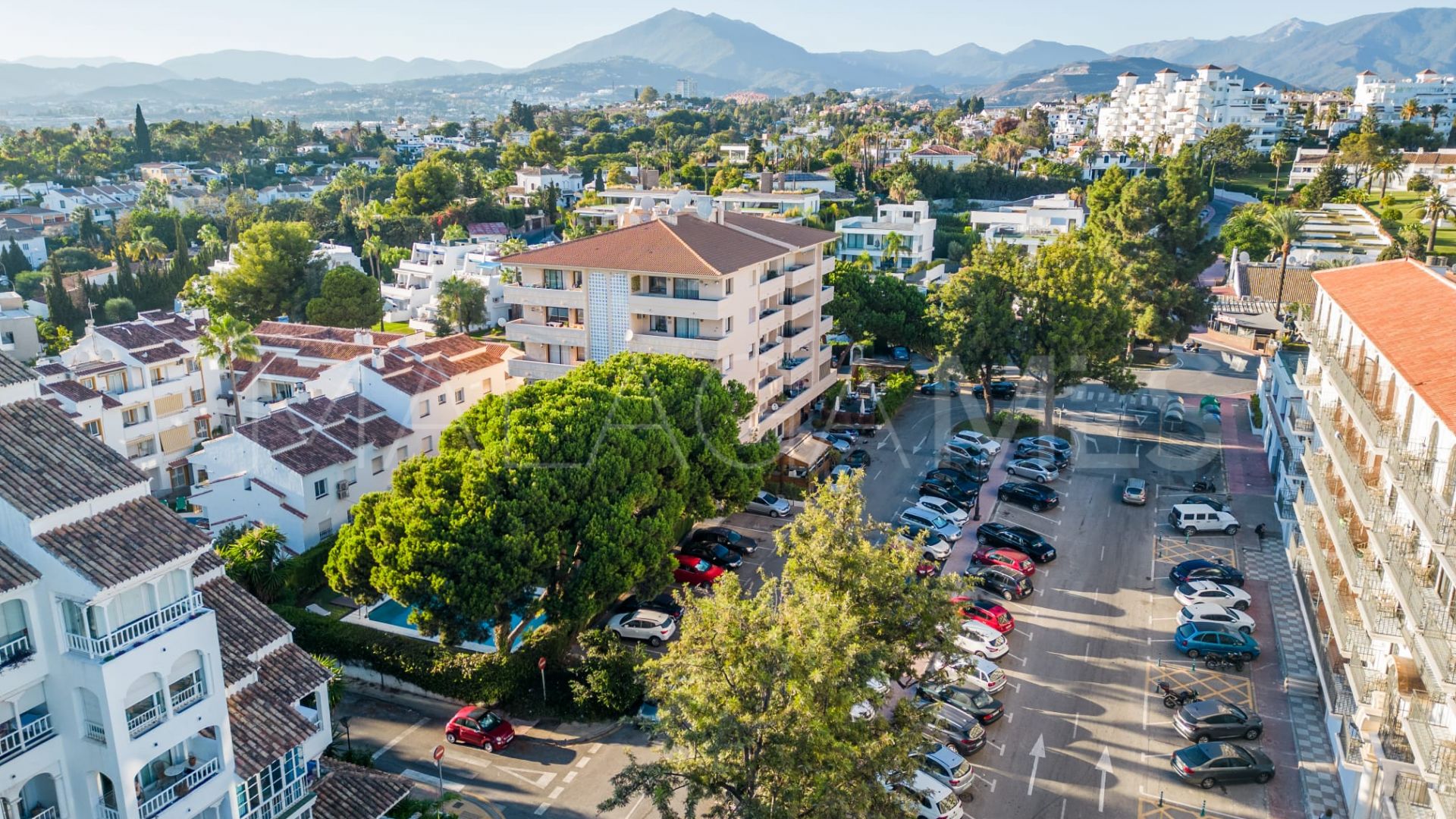 Wohnung for sale in Nueva Andalucia