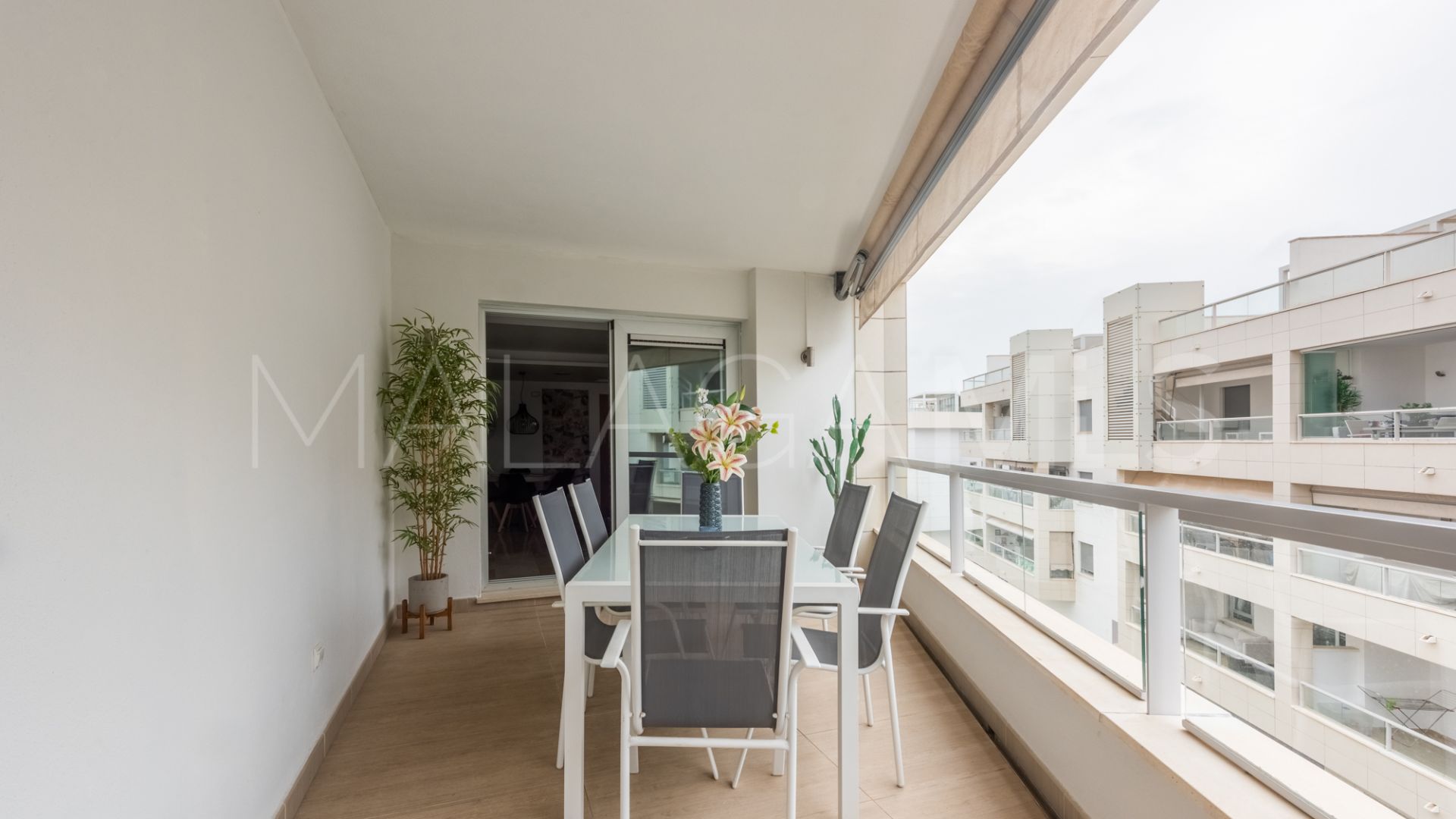 Buy atico duplex in San Pedro de Alcantara