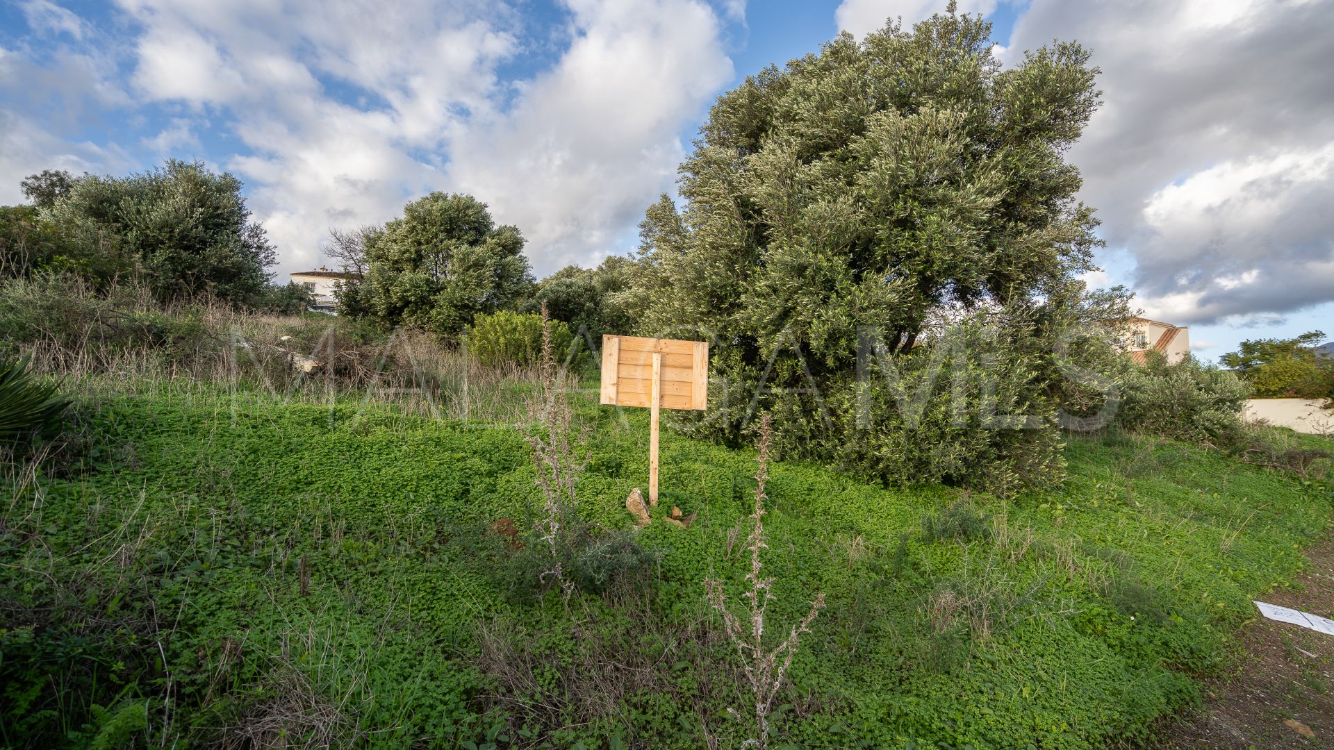 Terrain for sale in Valle Romano