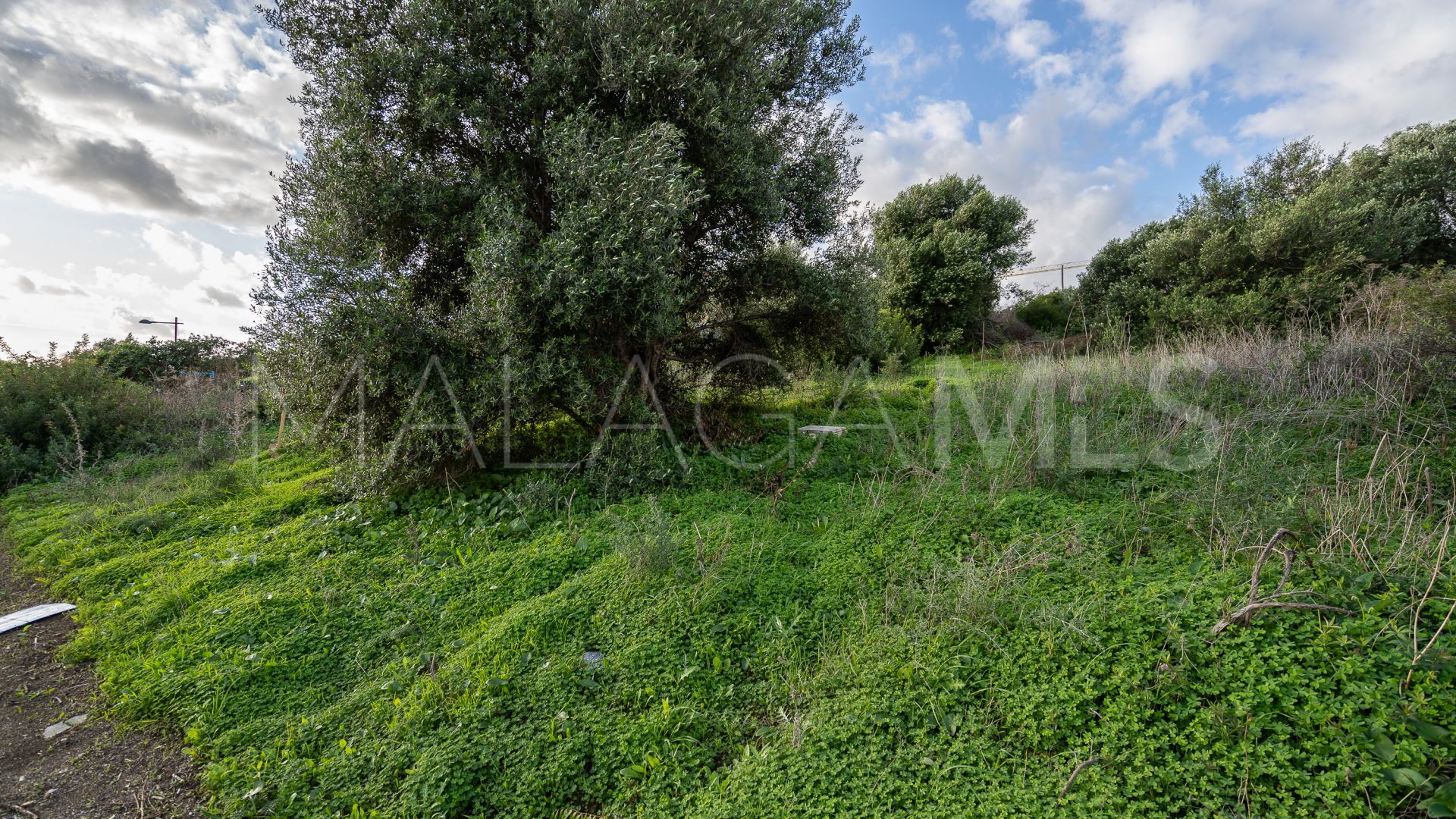 Terrain for sale in Valle Romano