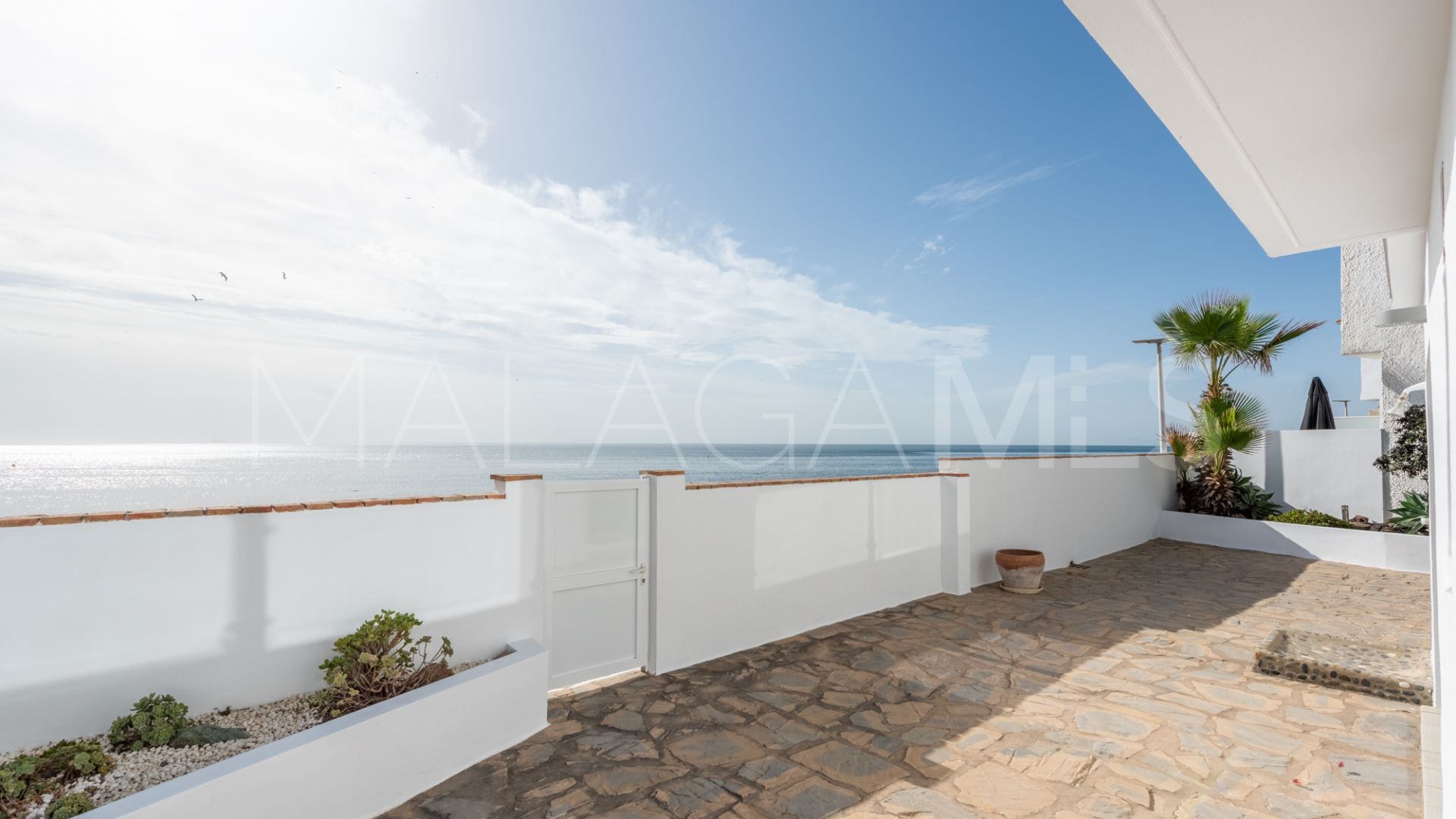 Buy villa in Arena Beach