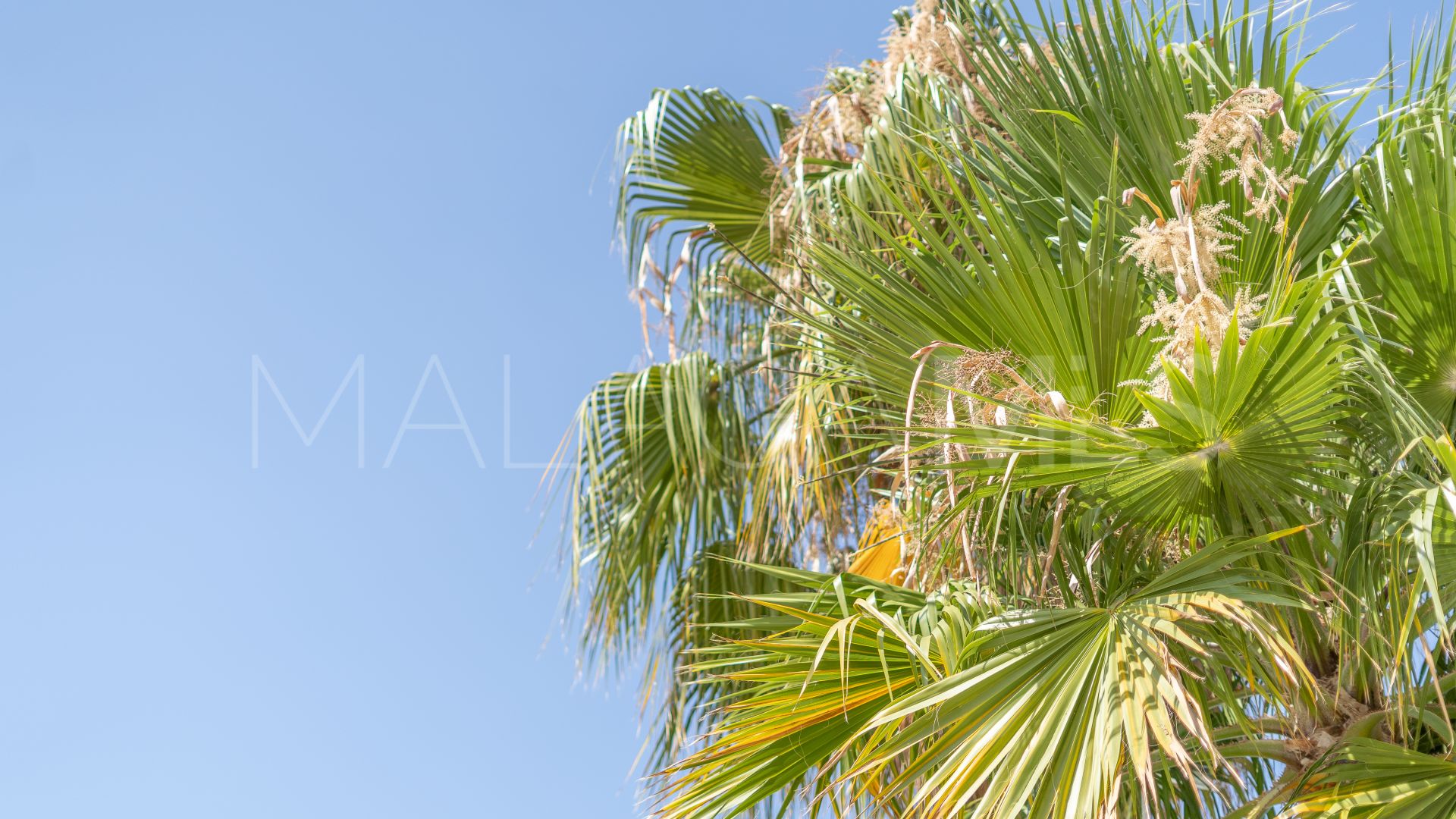 Buy apartamento planta baja in La Resina Golf