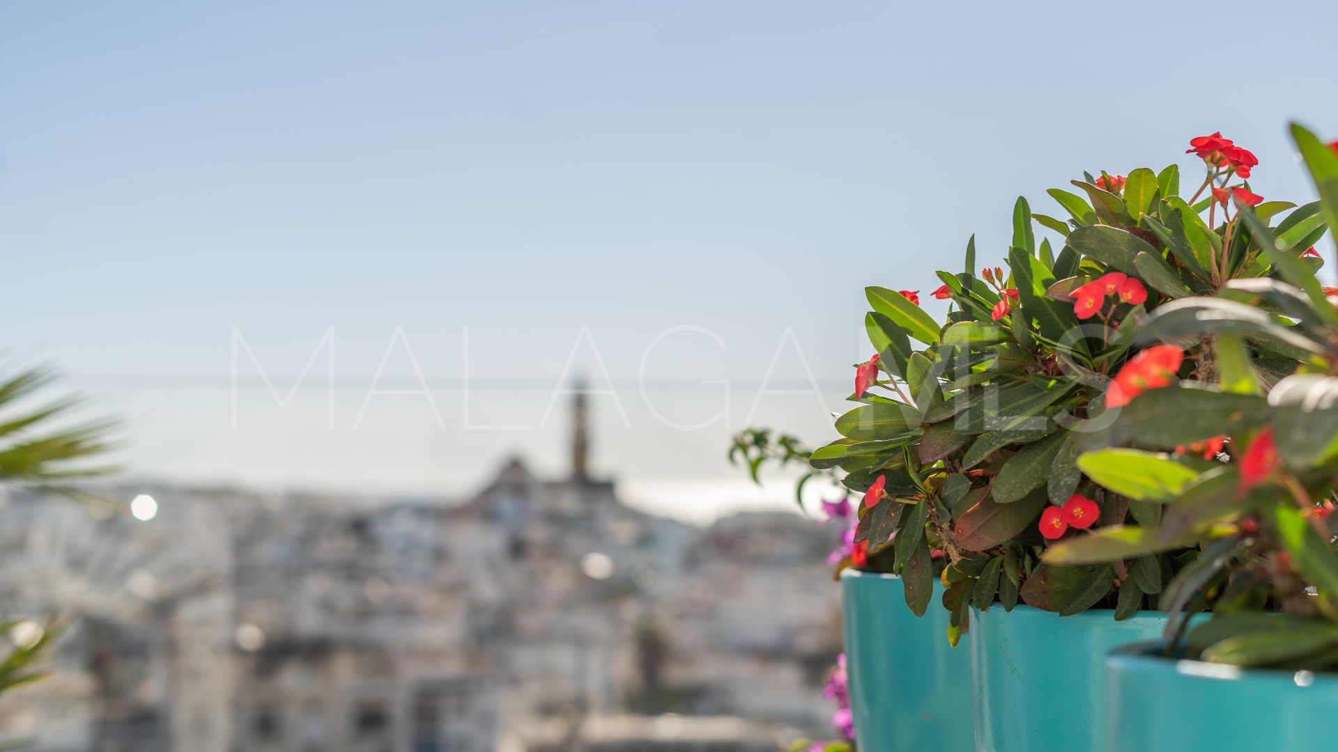 Buy Ático in Estepona Centro