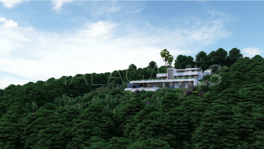 Buy villa in Monte Mayor