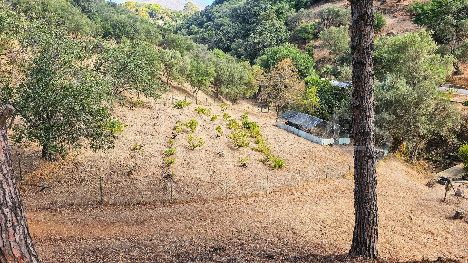 For sale finca in Casares Montaña