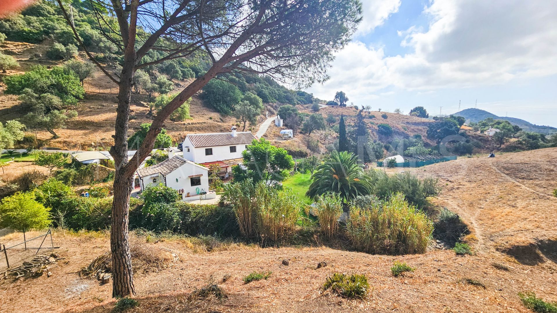 For sale finca in Casares Montaña