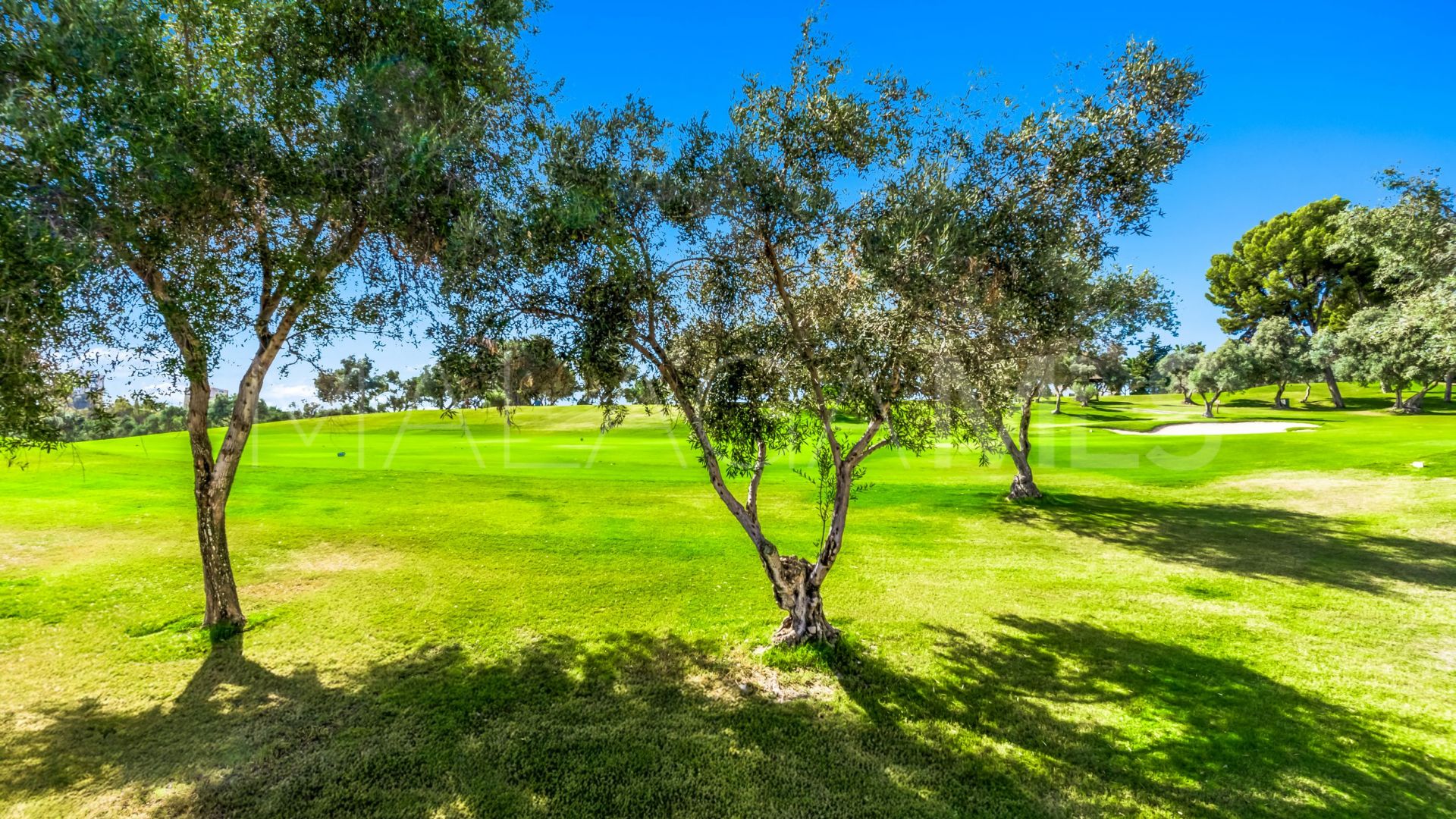 Los Olivos, adosado for sale