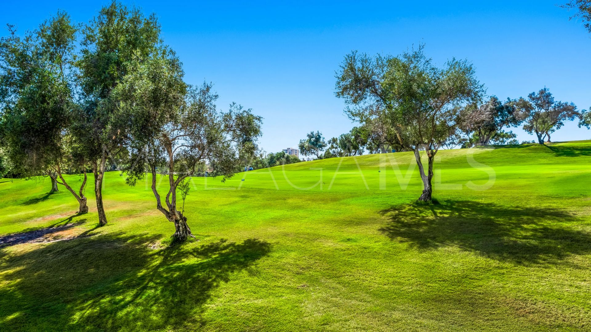 Los Olivos, adosado for sale