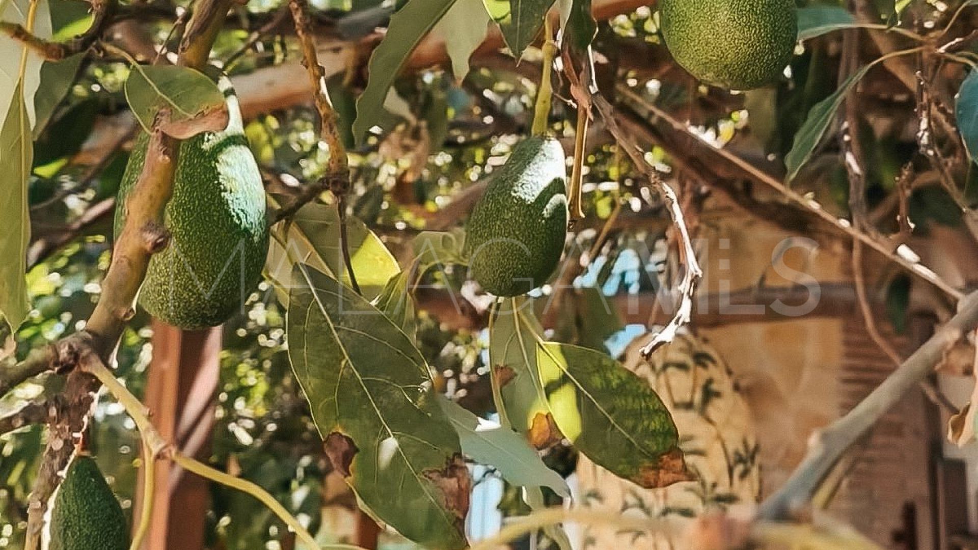 Villa for sale in Nueva Andalucia