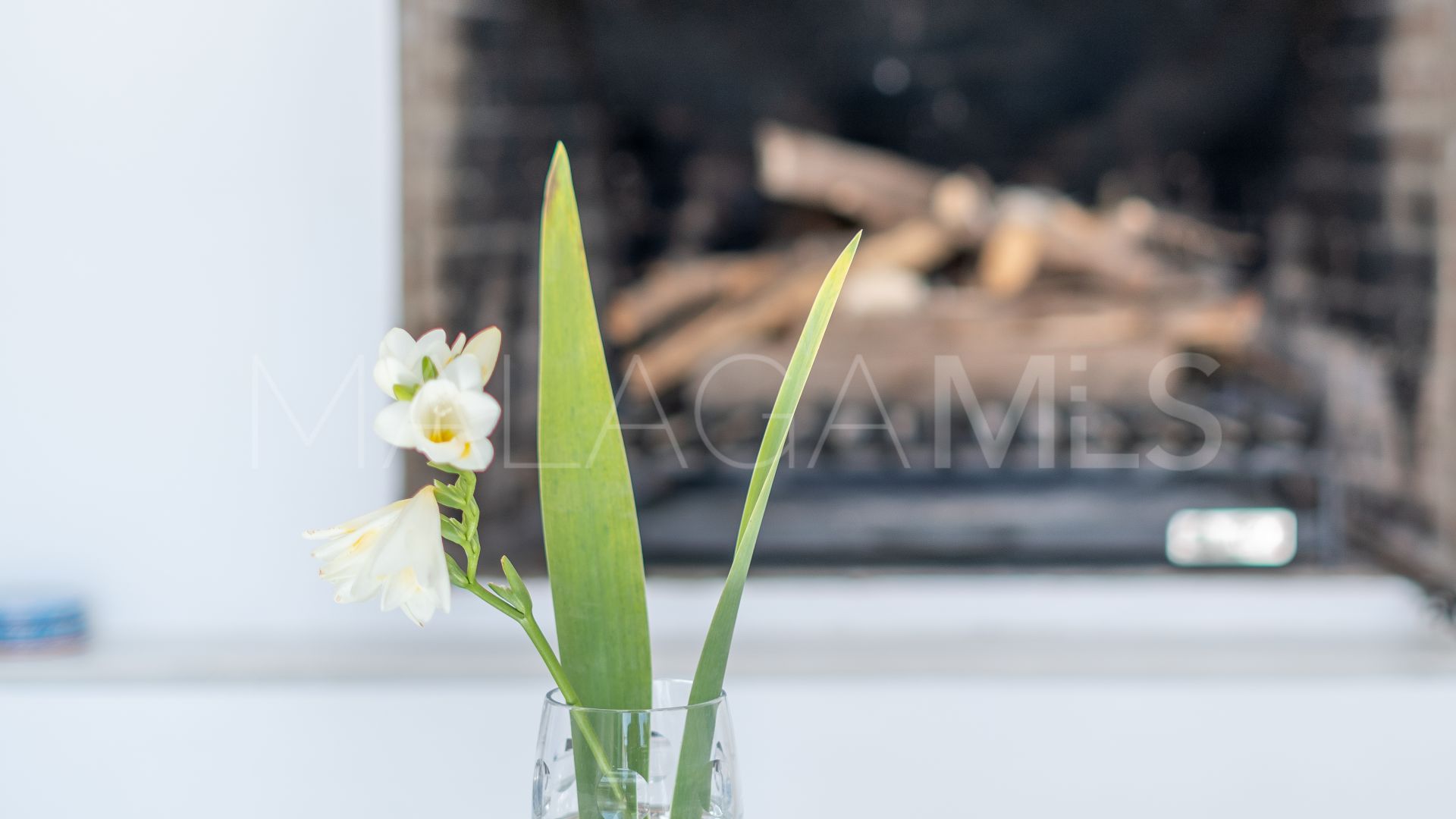 Villa for sale in Estepona