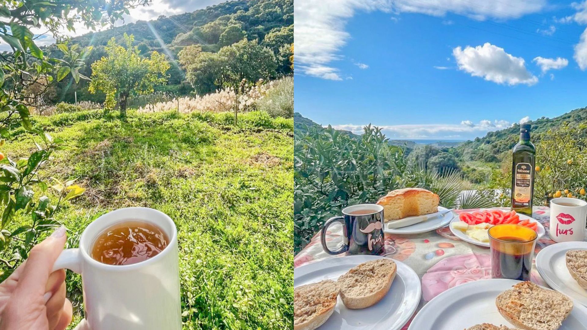 Finca for sale in Guadalobon