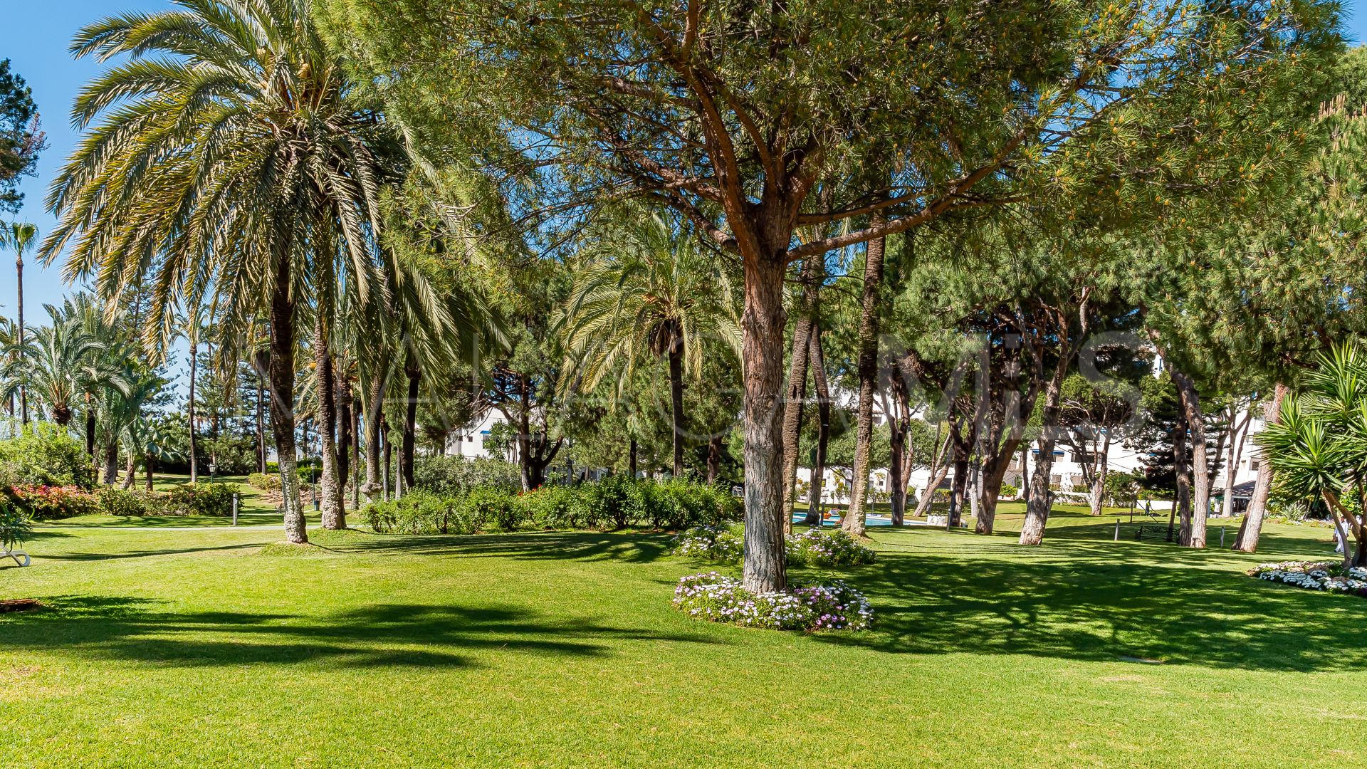 Lägenhet for sale in Playas del Duque