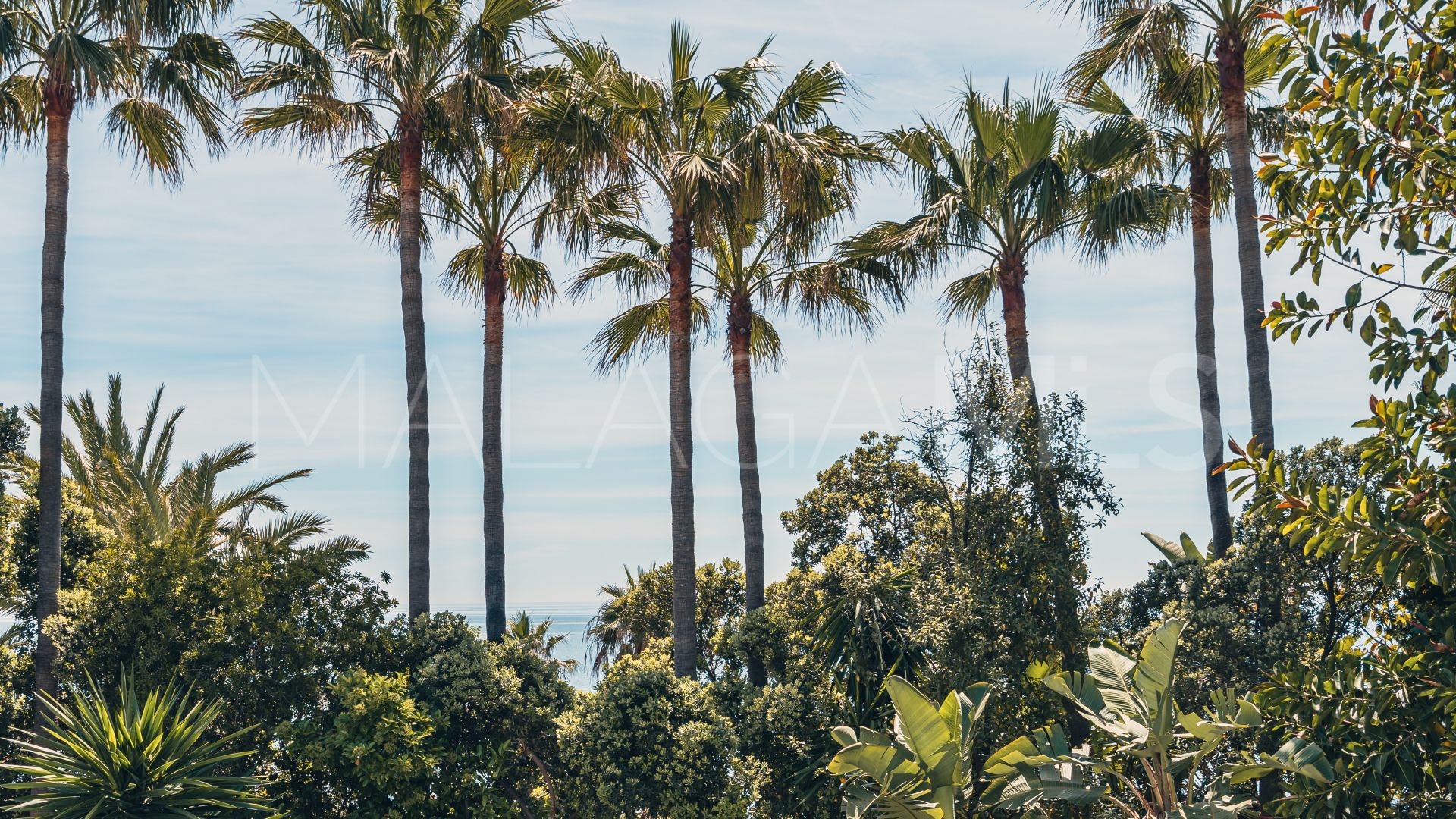 Wohnung for sale in Estepona Ost