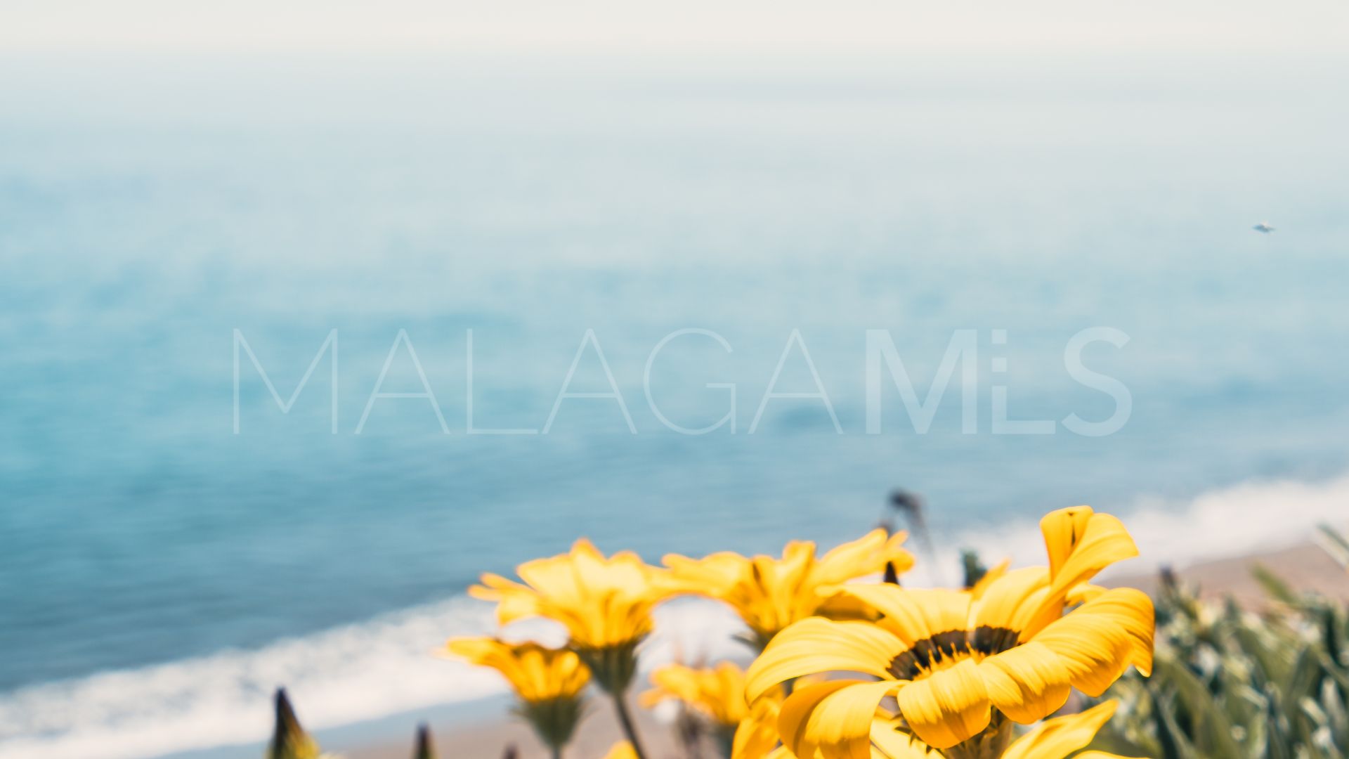 Wohnung for sale in Estepona Ost