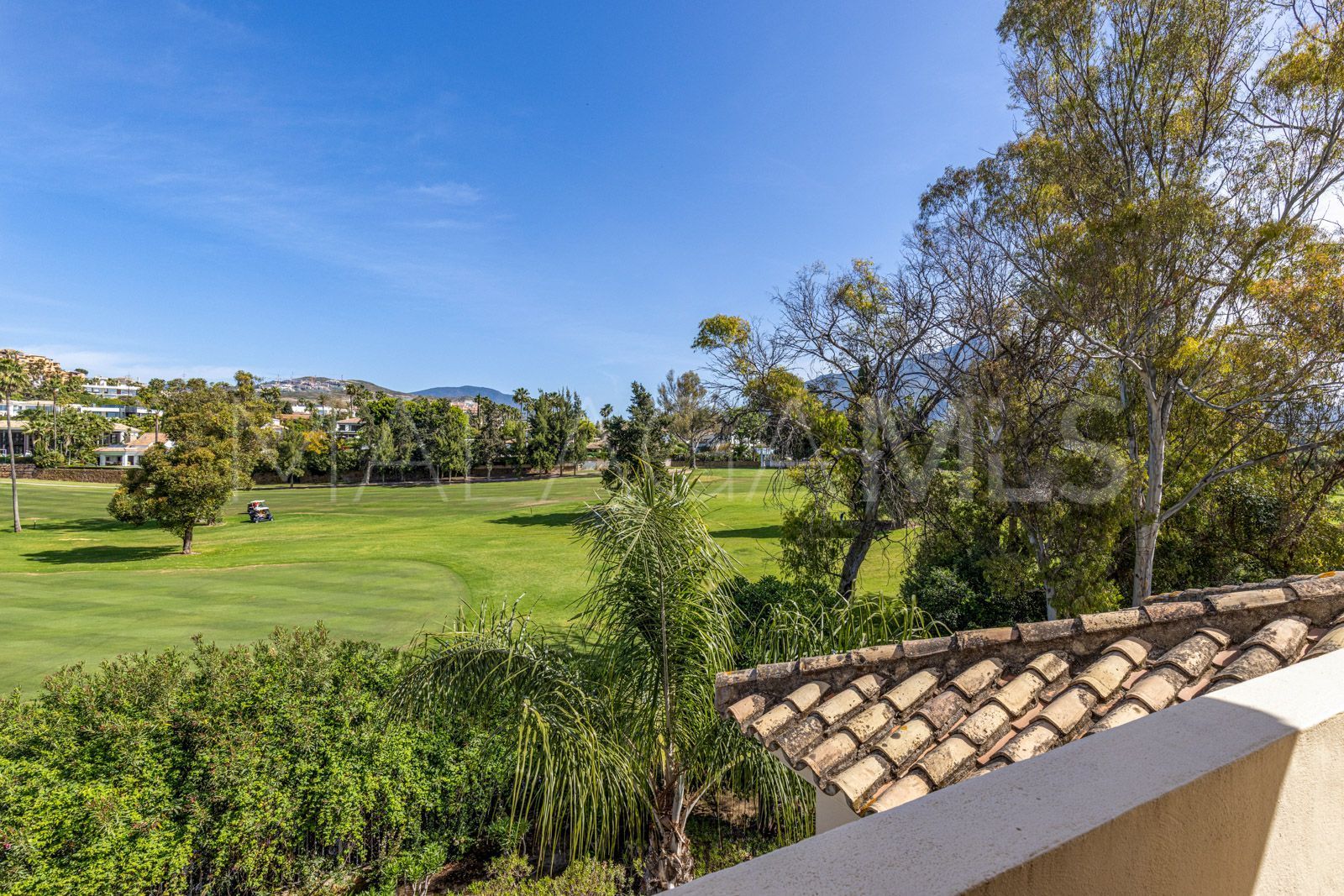 Buy duplex penthouse in Las Alamandas