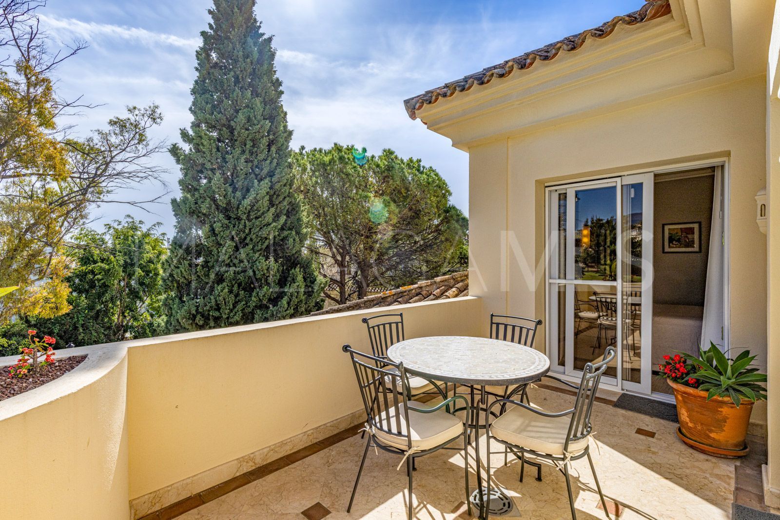 Buy duplex penthouse in Las Alamandas