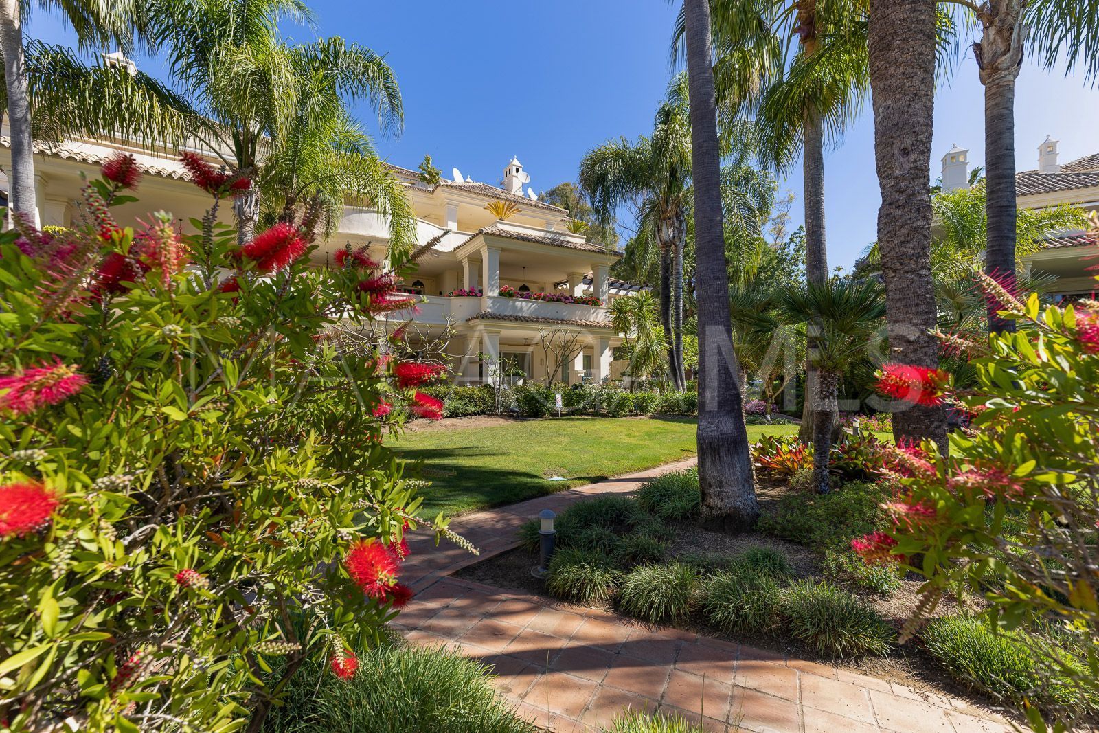 Buy duplex penthouse in Las Alamandas