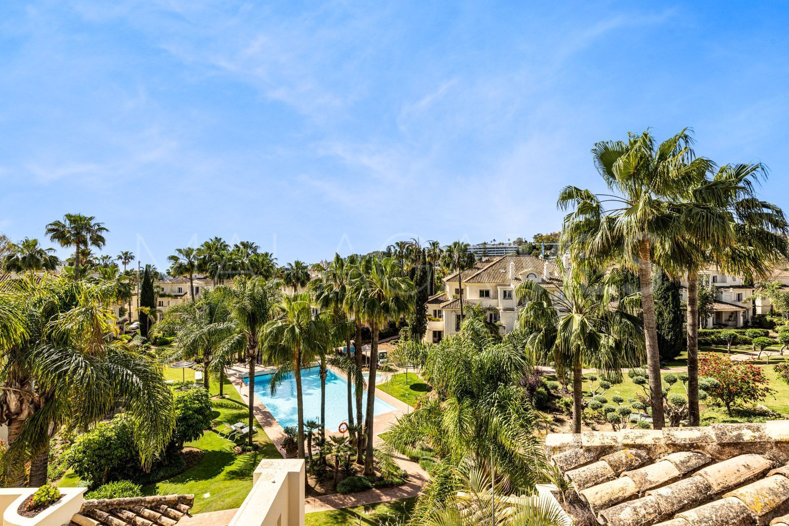 Buy duplex penthouse in Las Alamandas