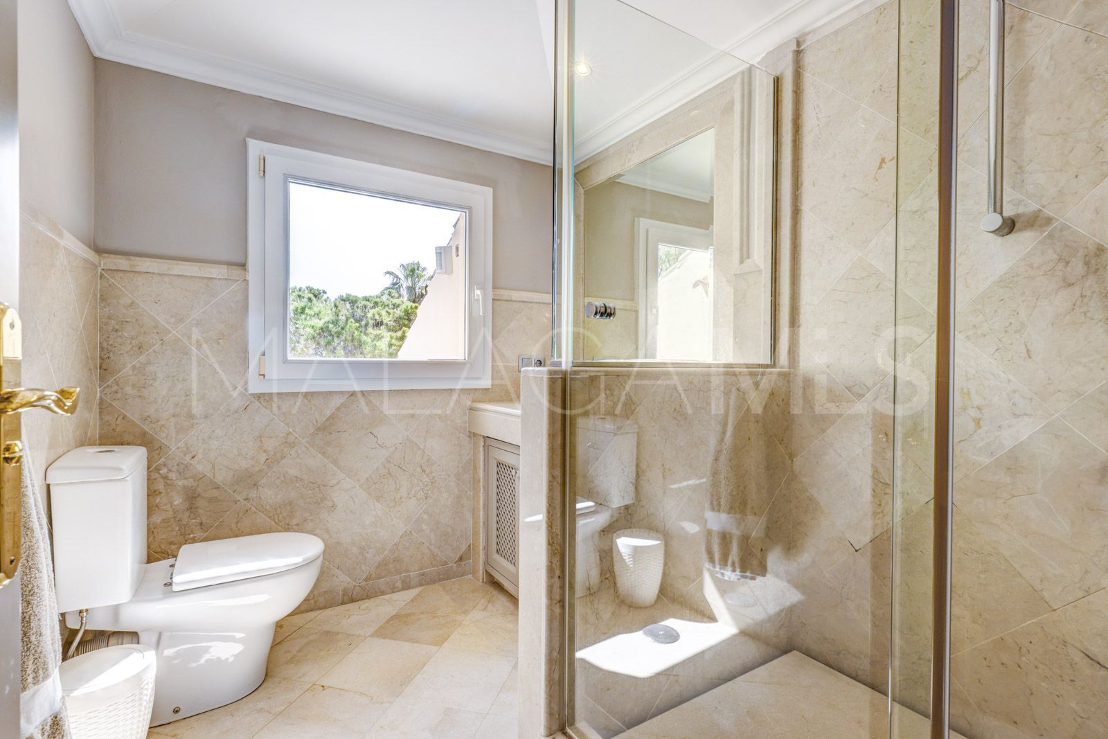 Buy duplex penthouse in Las Alamandas