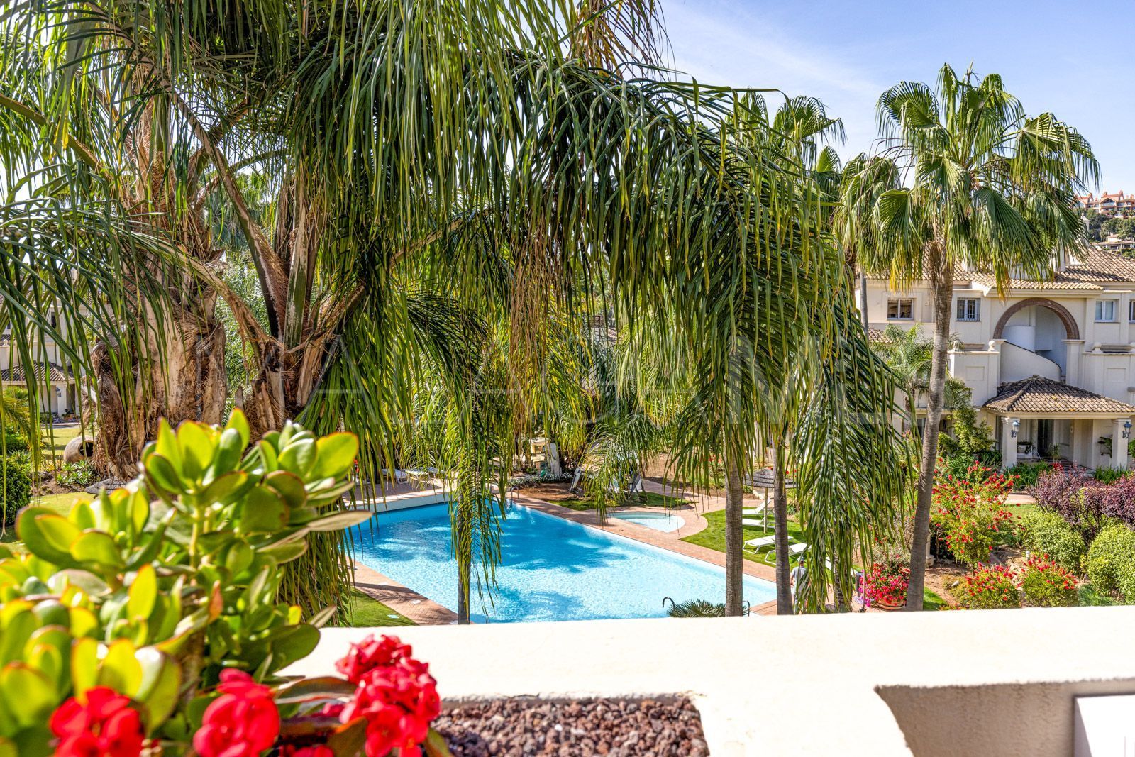 Buy duplex penthouse in Las Alamandas