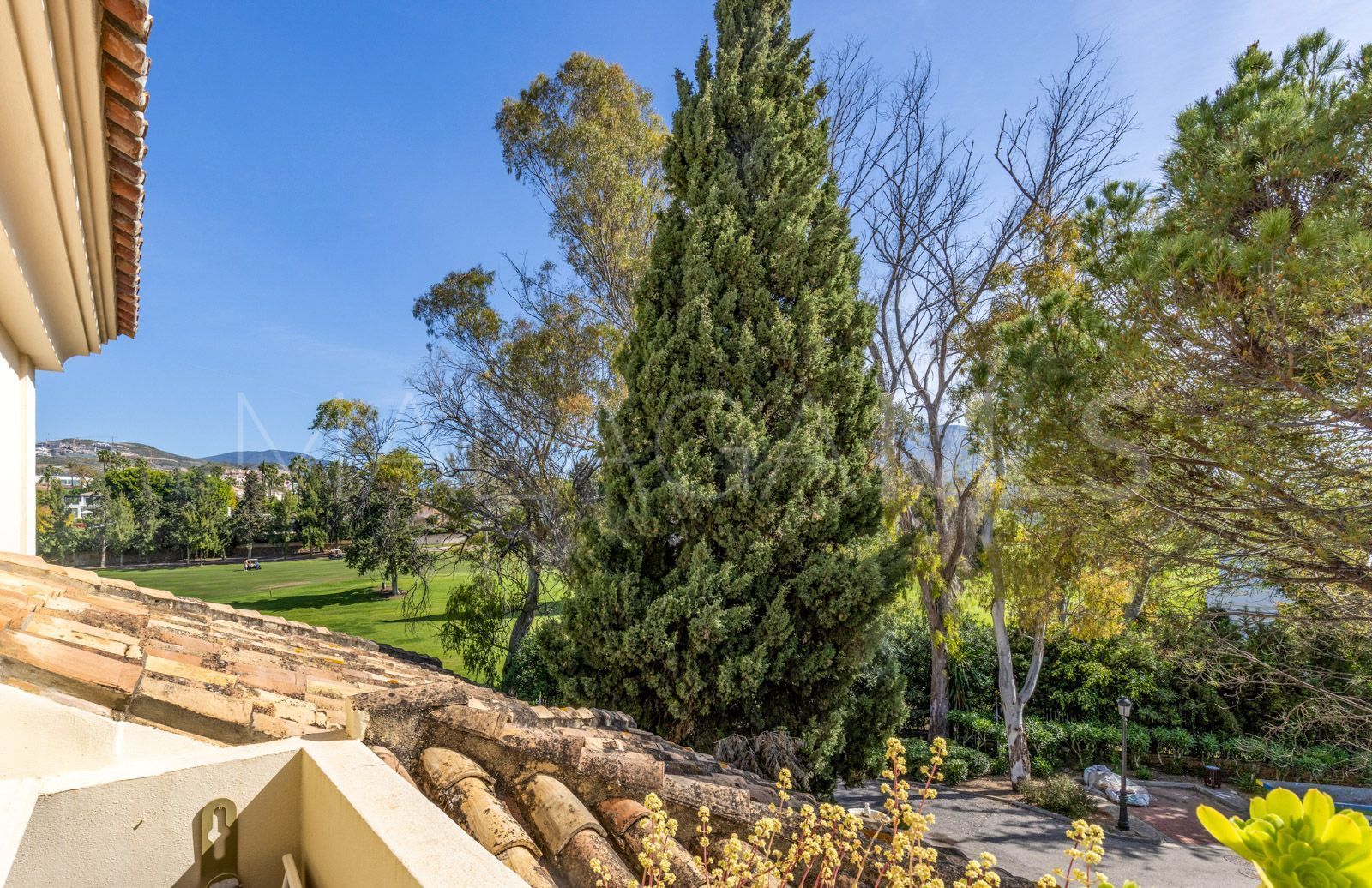 Buy duplex penthouse in Las Alamandas