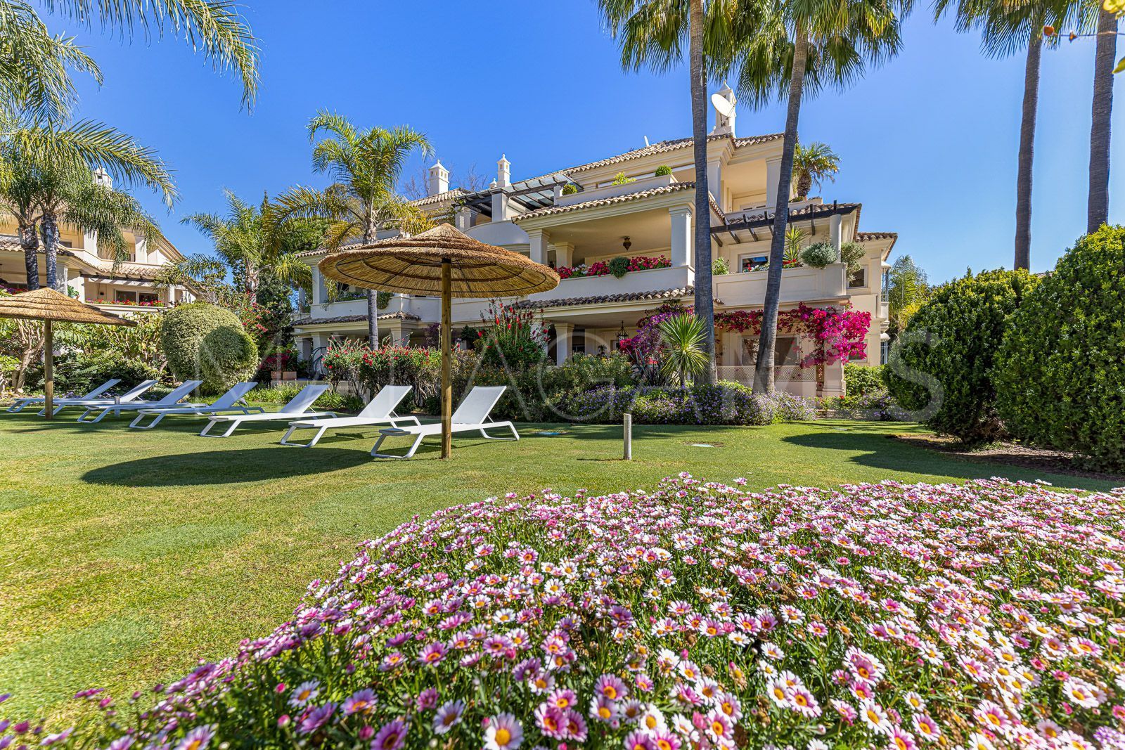 Buy duplex penthouse in Las Alamandas